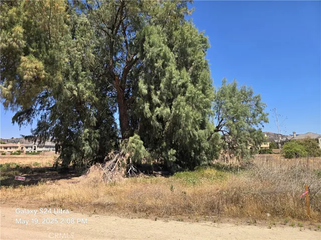 a view of a yard with plants and trees