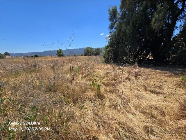 a view of a yard with trees in the background