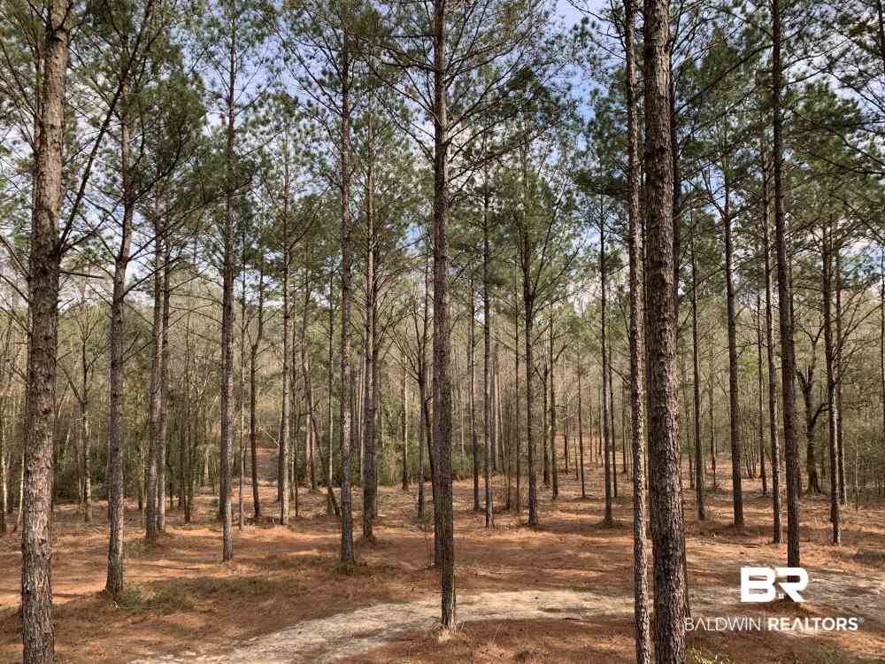 17525 Joe Gottler Road Elberta, AL 36530 - Photo 25 of 44