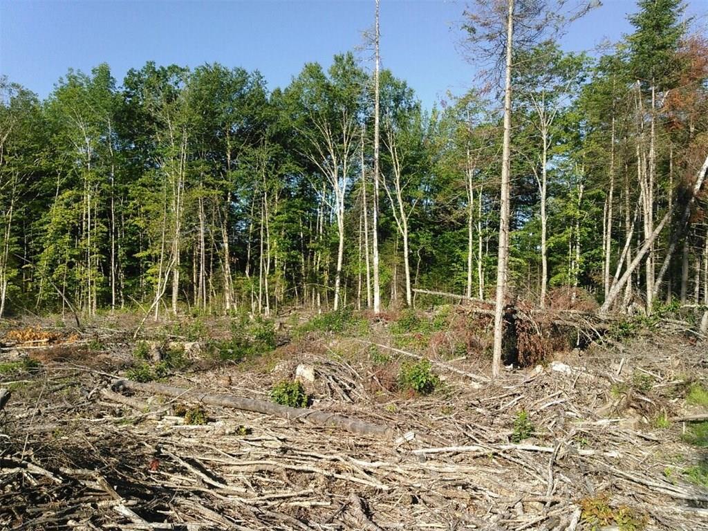 55-1 Beech Grove Road Corinth, ME 04427 - Photo 5 of 5 Photo