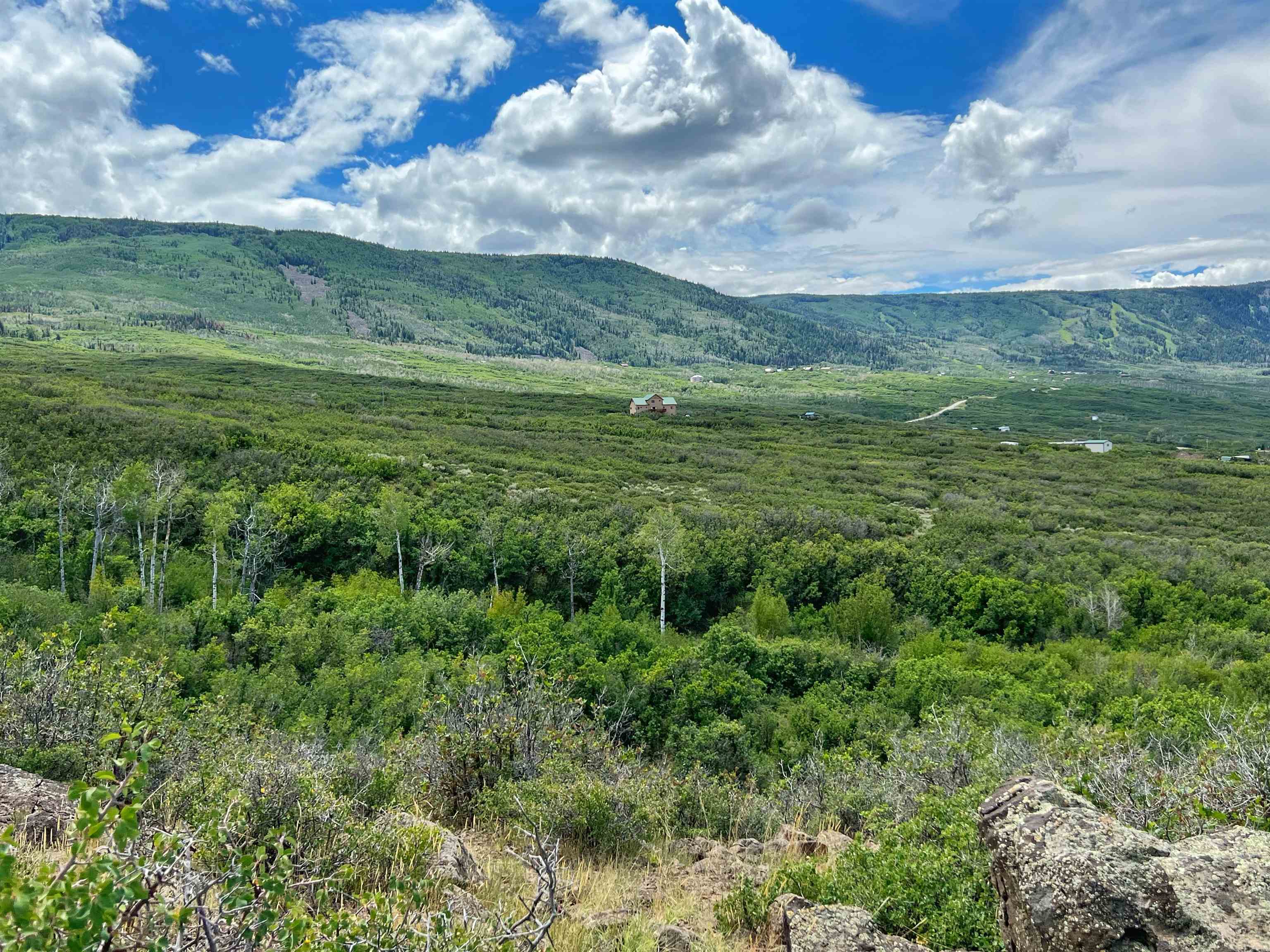 a view of a lush green field