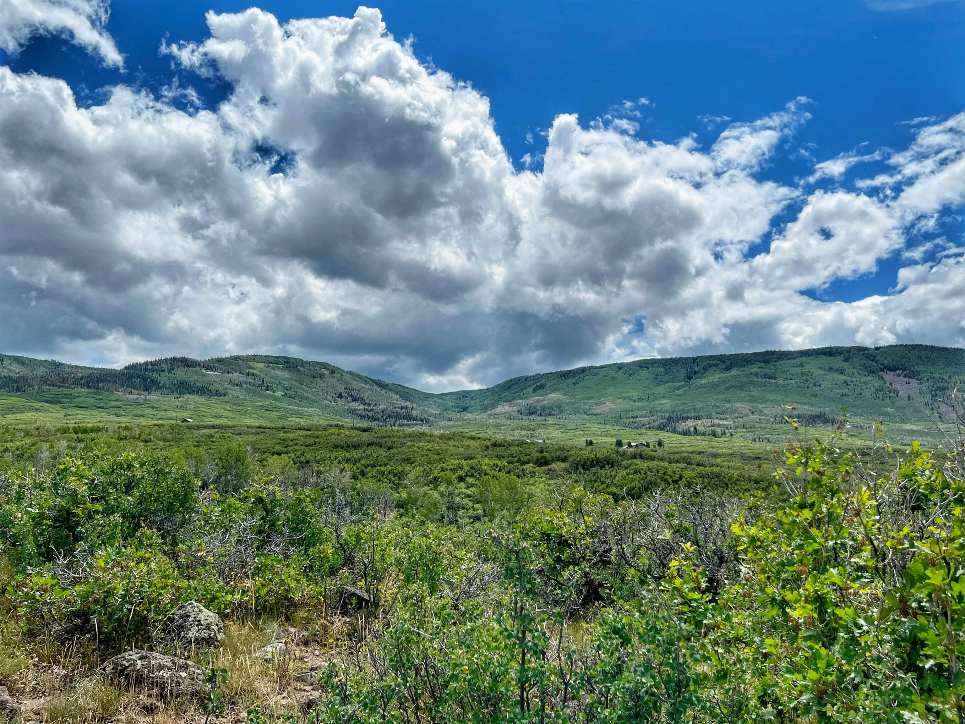50106 Bear Run Drive Mesa, CO 81643 - Photo 11 of 18 a view of a big yard