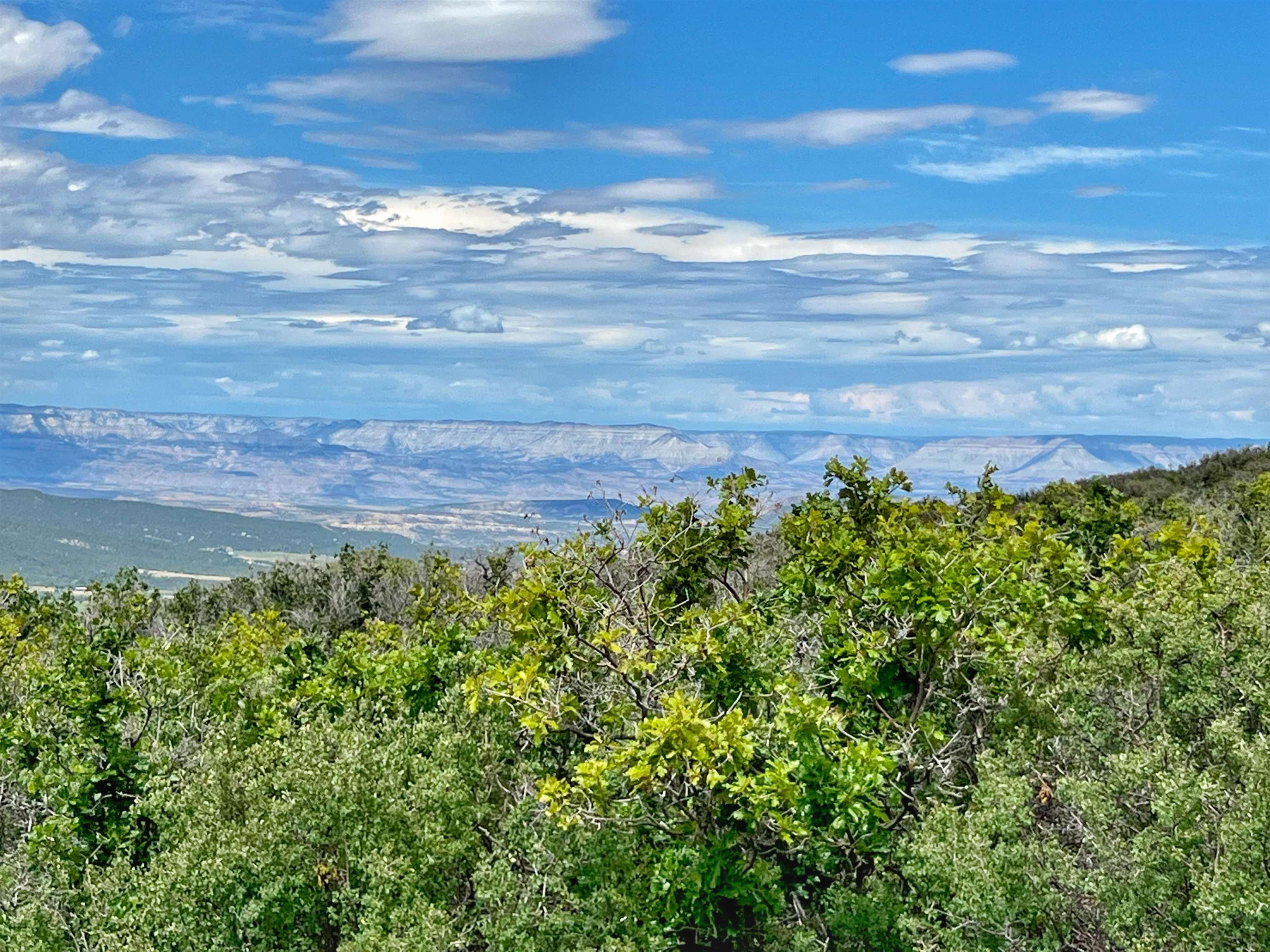 50106 Bear Run Drive Mesa, CO 81643 - Photo 12 of 18
