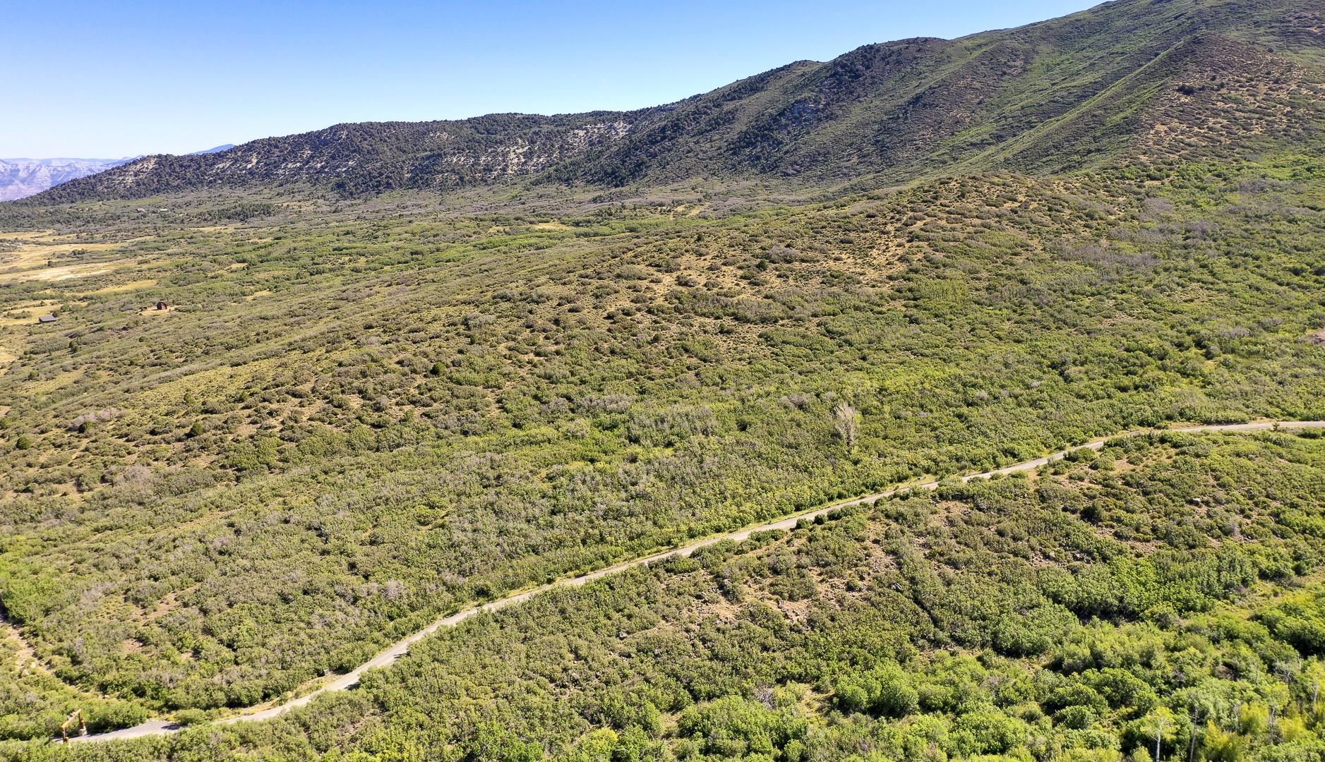 50106 Bear Run Drive Mesa, CO 81643 - Photo 14 of 18 a view of a dry yard with an ocean
