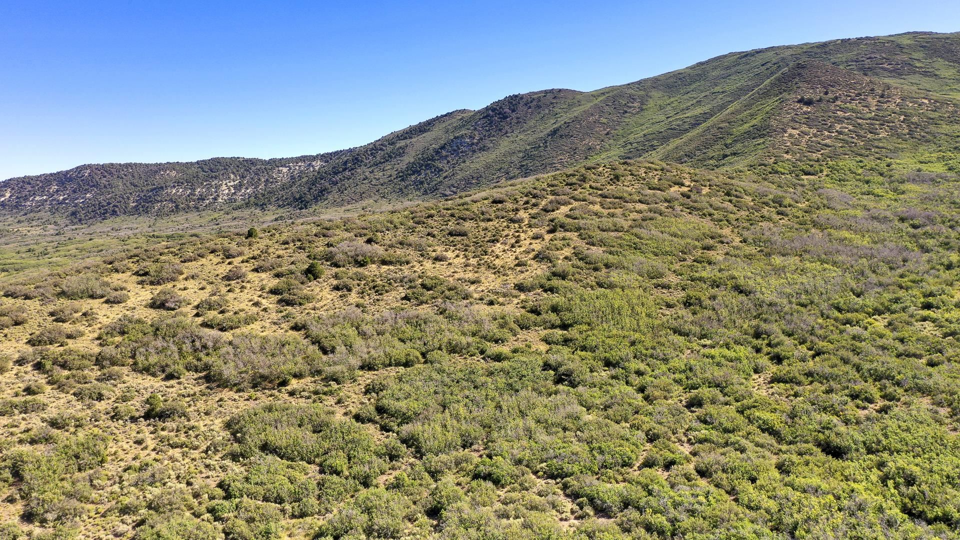50106 Bear Run Drive Mesa, CO 81643 - Photo 15 of 18 a view of a large mountain with mountains in the background