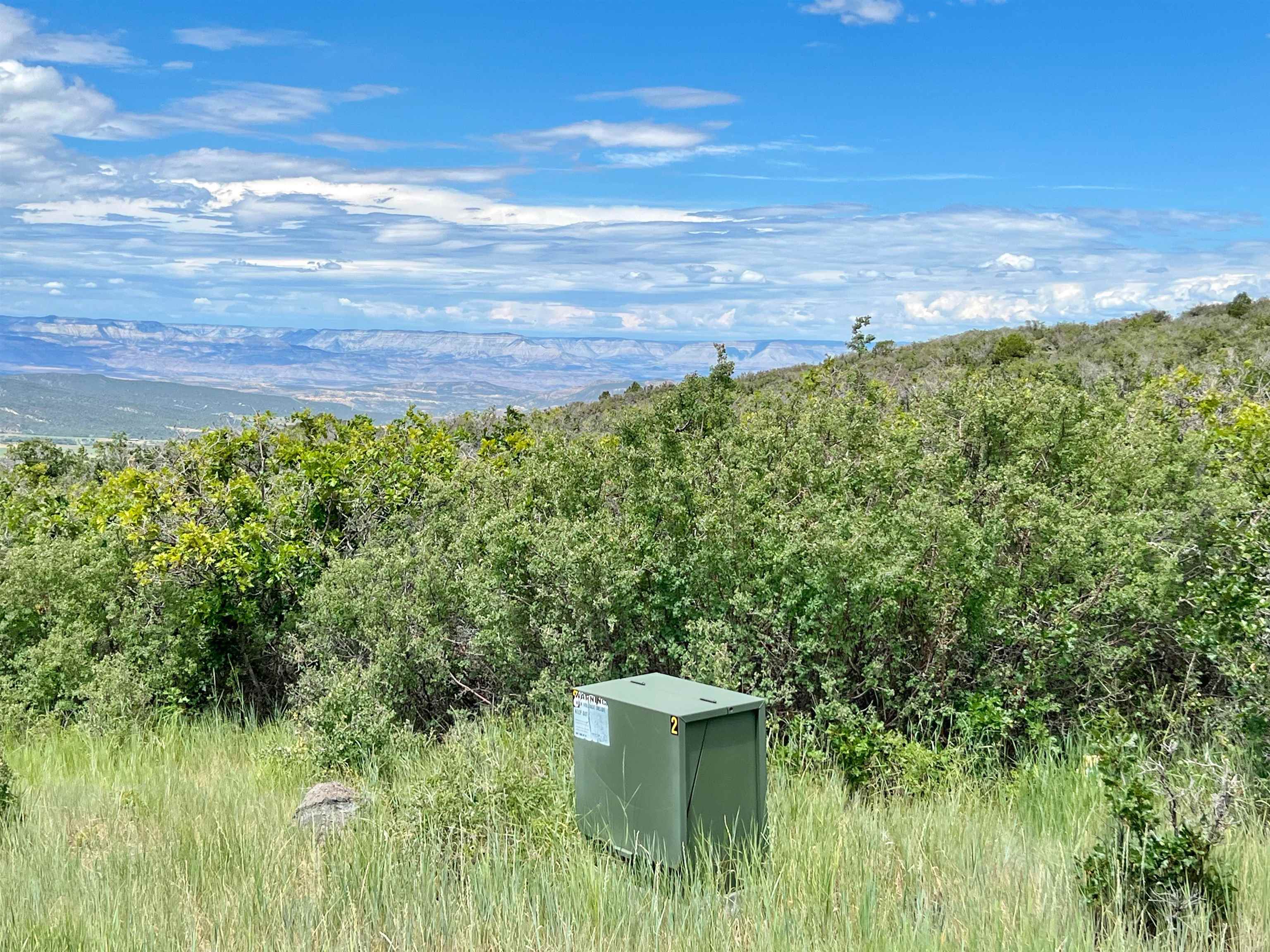 50106 Bear Run Drive Mesa, CO 81643 - Photo 2 of 18 a view of a garden