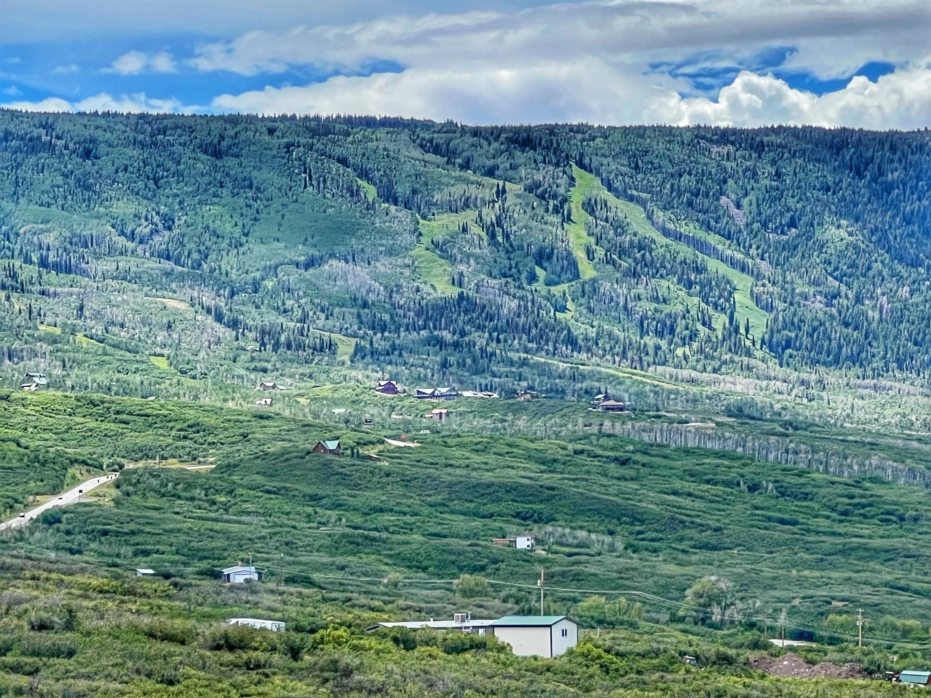 50106 Bear Run Drive Mesa, CO 81643 - Photo 5 of 18 a view of a lush green field
