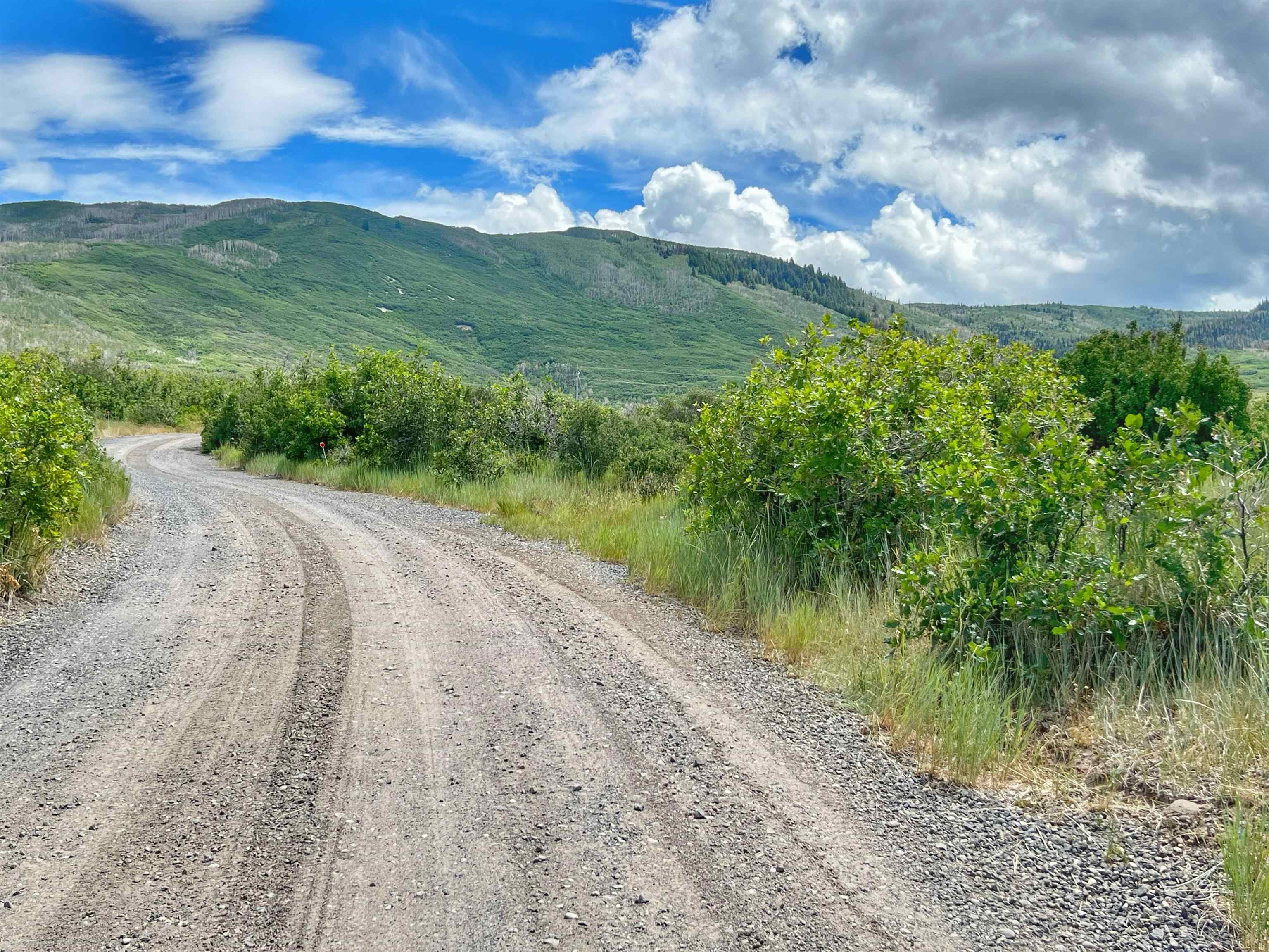 50106 Bear Run Drive Mesa, CO 81643 - Photo 7 of 18 a view of a lake with a yard