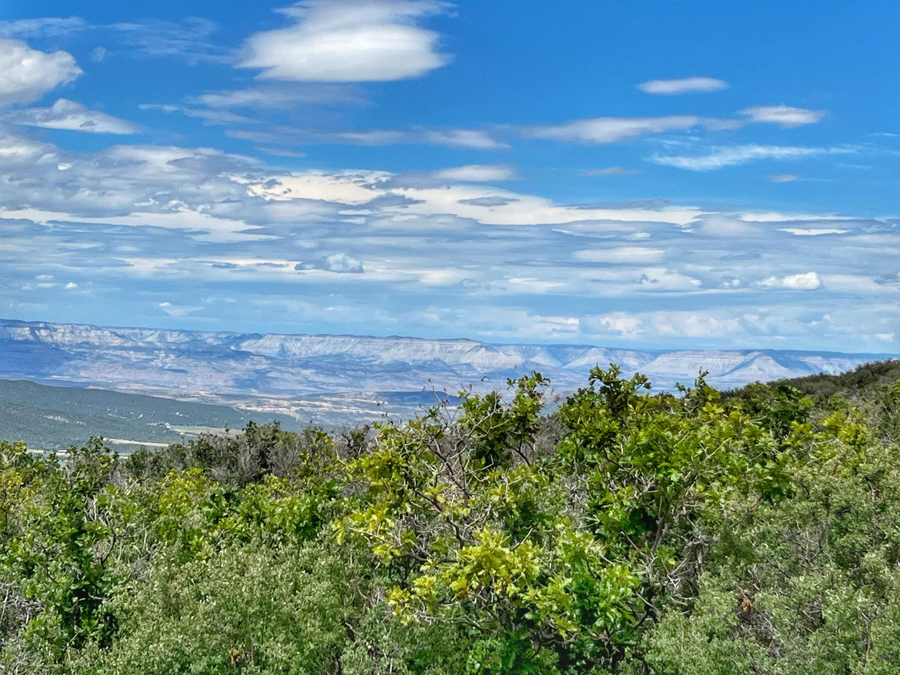 50106 Bear Run Drive Mesa, CO 81643 - Photo 8 of 18 a view of a pathway with a yard