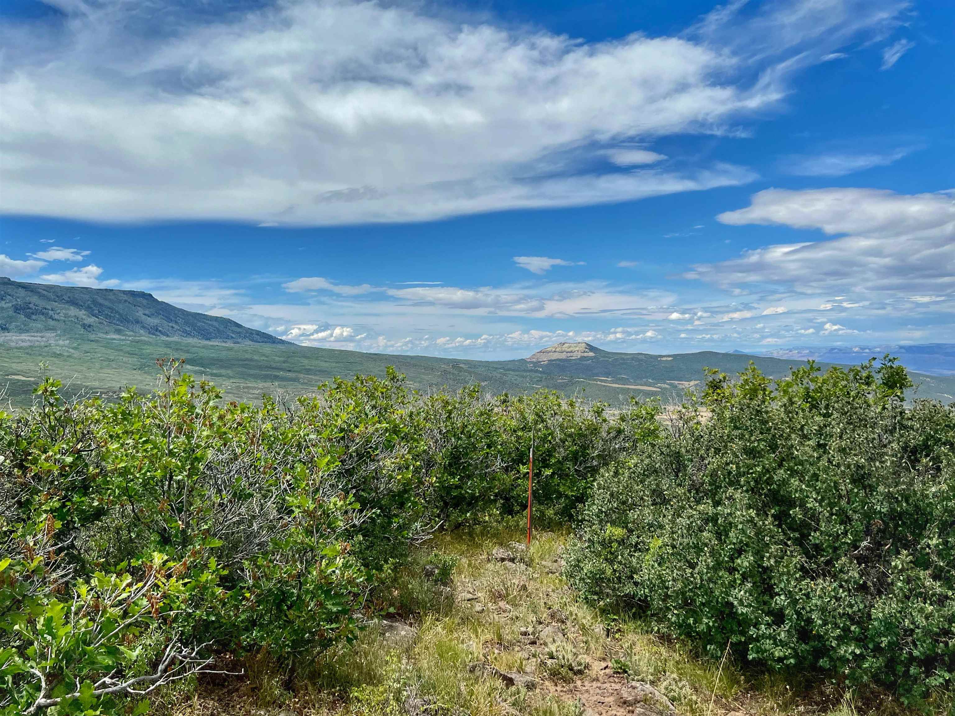 50106 Bear Run Drive Mesa, CO 81643 - Photo 10 of 18 a view of a yard with an outdoor space