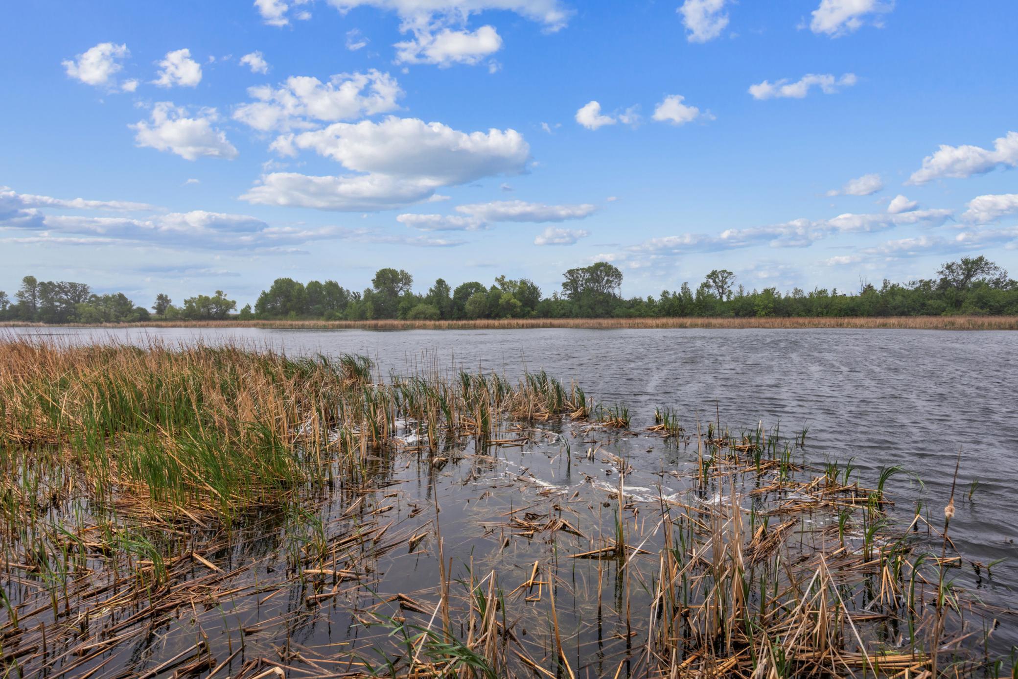 4645 Diamond Lane Atwater, MN 56209 - Photo 23 of 28