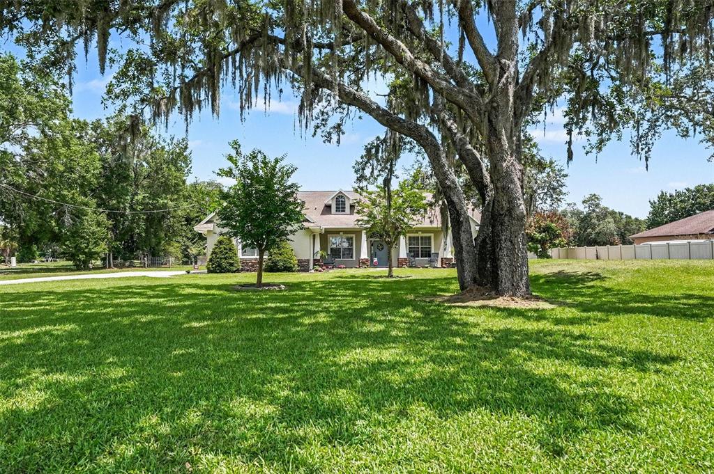 6913 Colley Road Odessa, FL 33556 - Photo 7 of 46