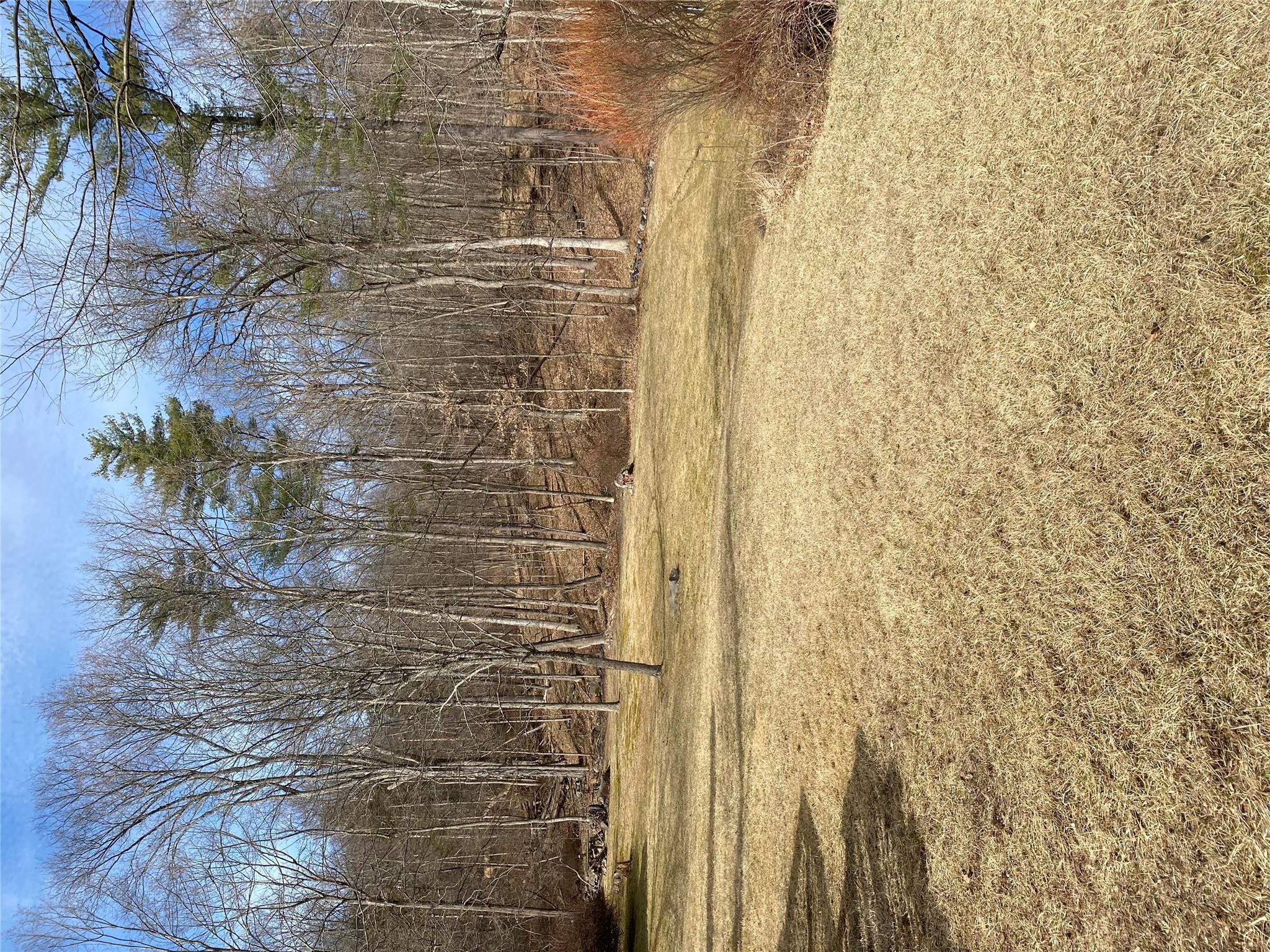 168 Prospect Road Monroe, NY 10950 - Photo 15 of 15 View of yard