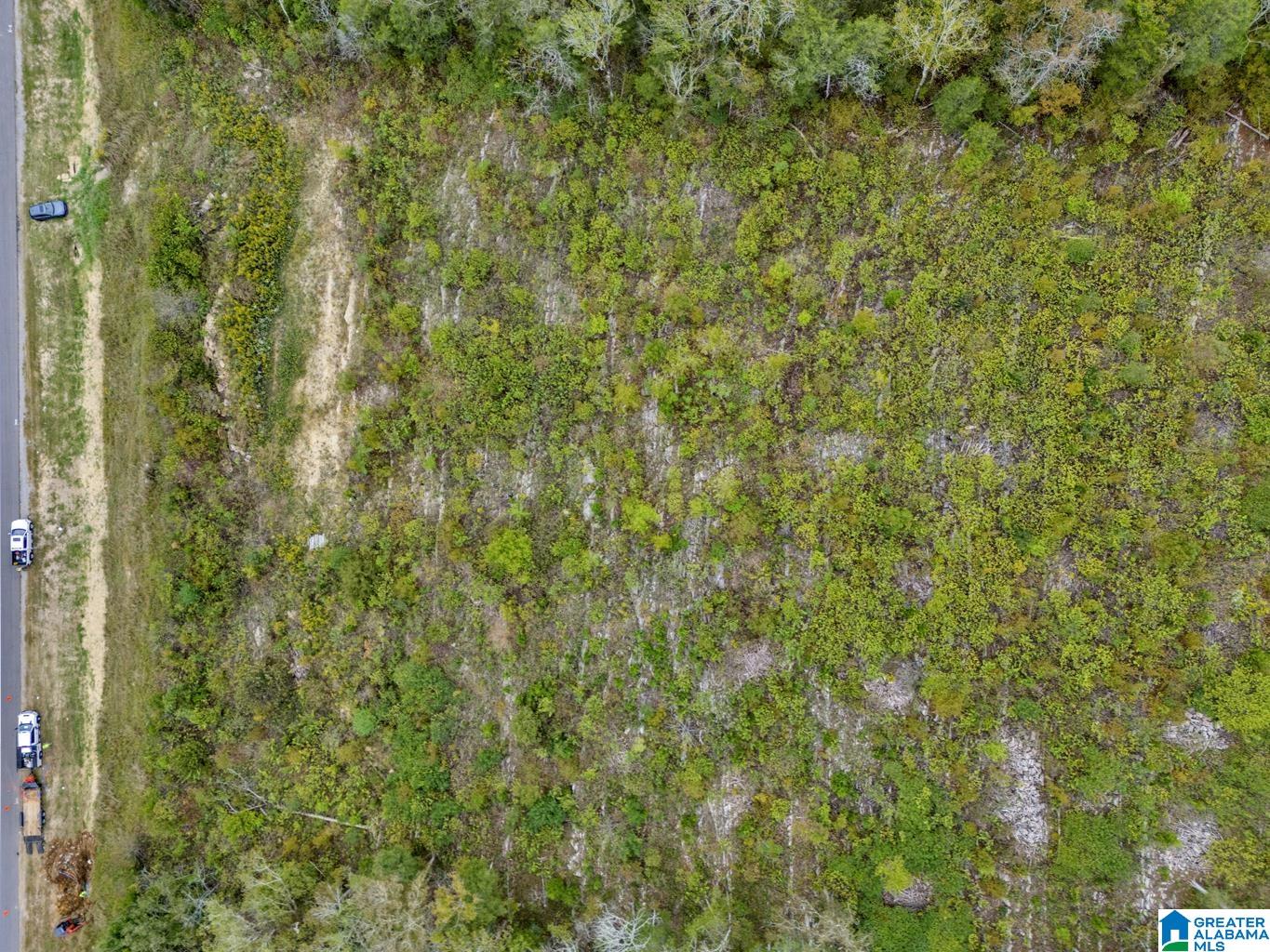 0 Highway 75 Remlap, AL 35133 - Photo 3 of 6
