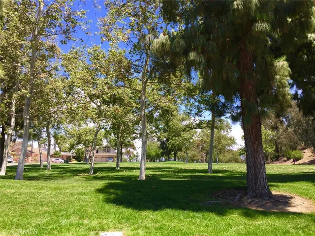 a view of a trees in a yard