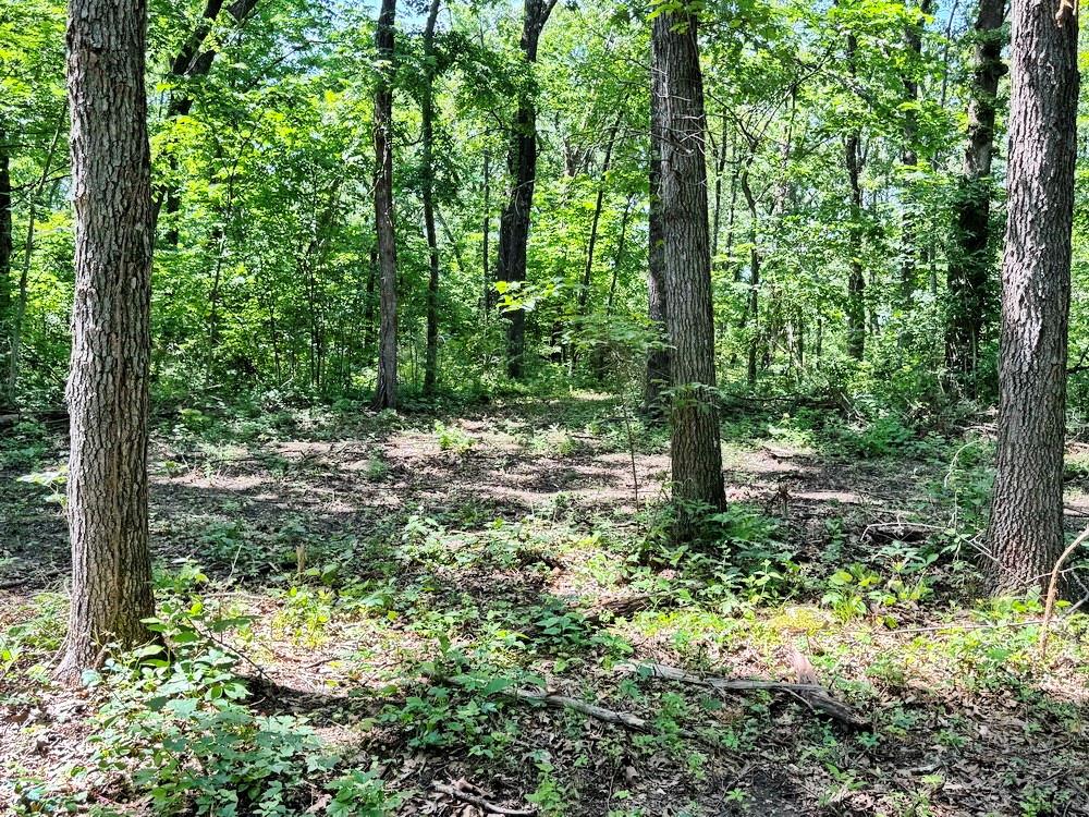 Tbd1 East 1550 Road Jerico Springs, MO 64756 - Photo 5 of 23