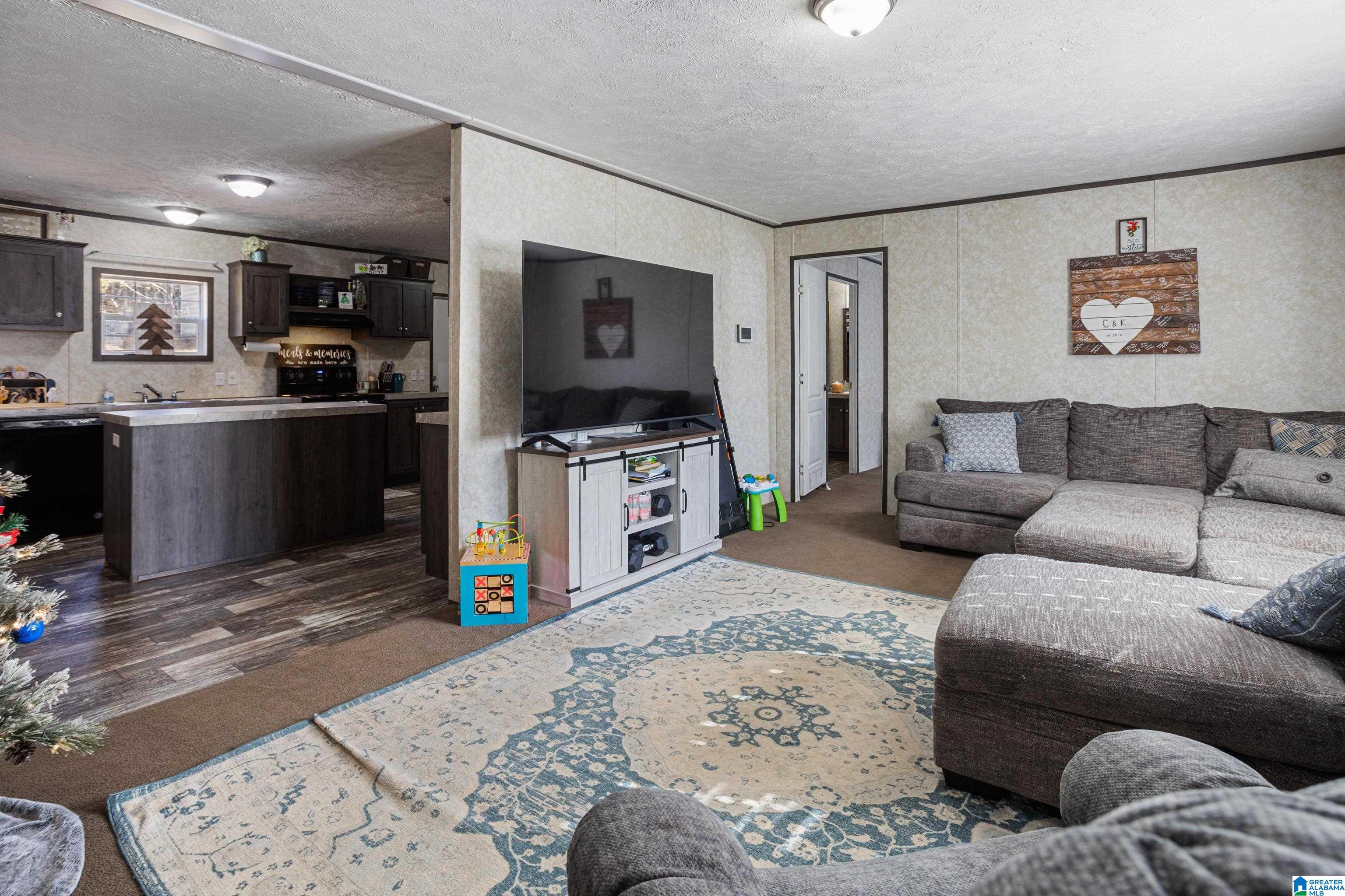 4135 Warrior Jasper Road Dora, AL 35062 - Photo 4 of 47