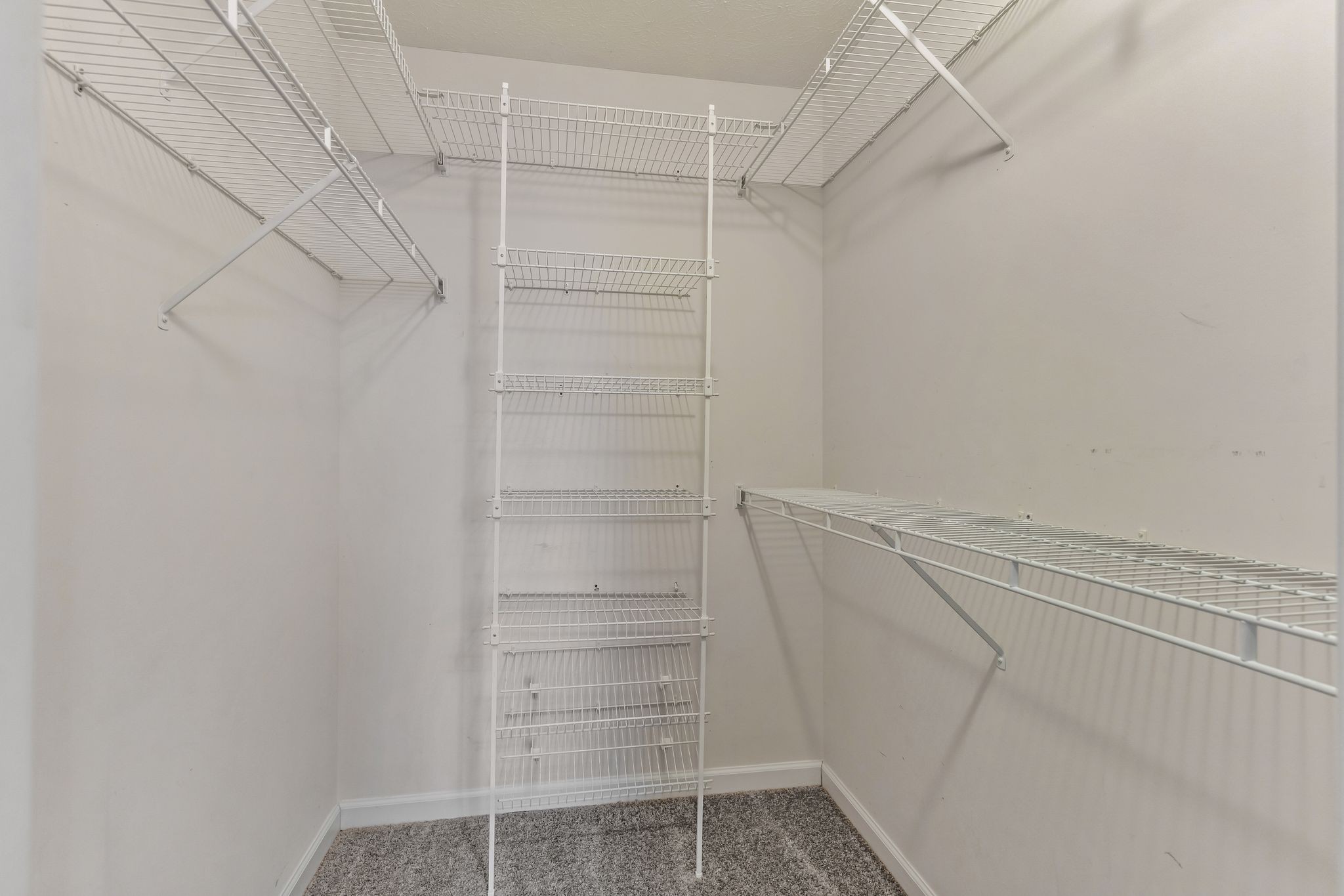 3729 Calista Road Cross Plains, TN 37049 - Photo 13 of 46 Gallery Image 13
