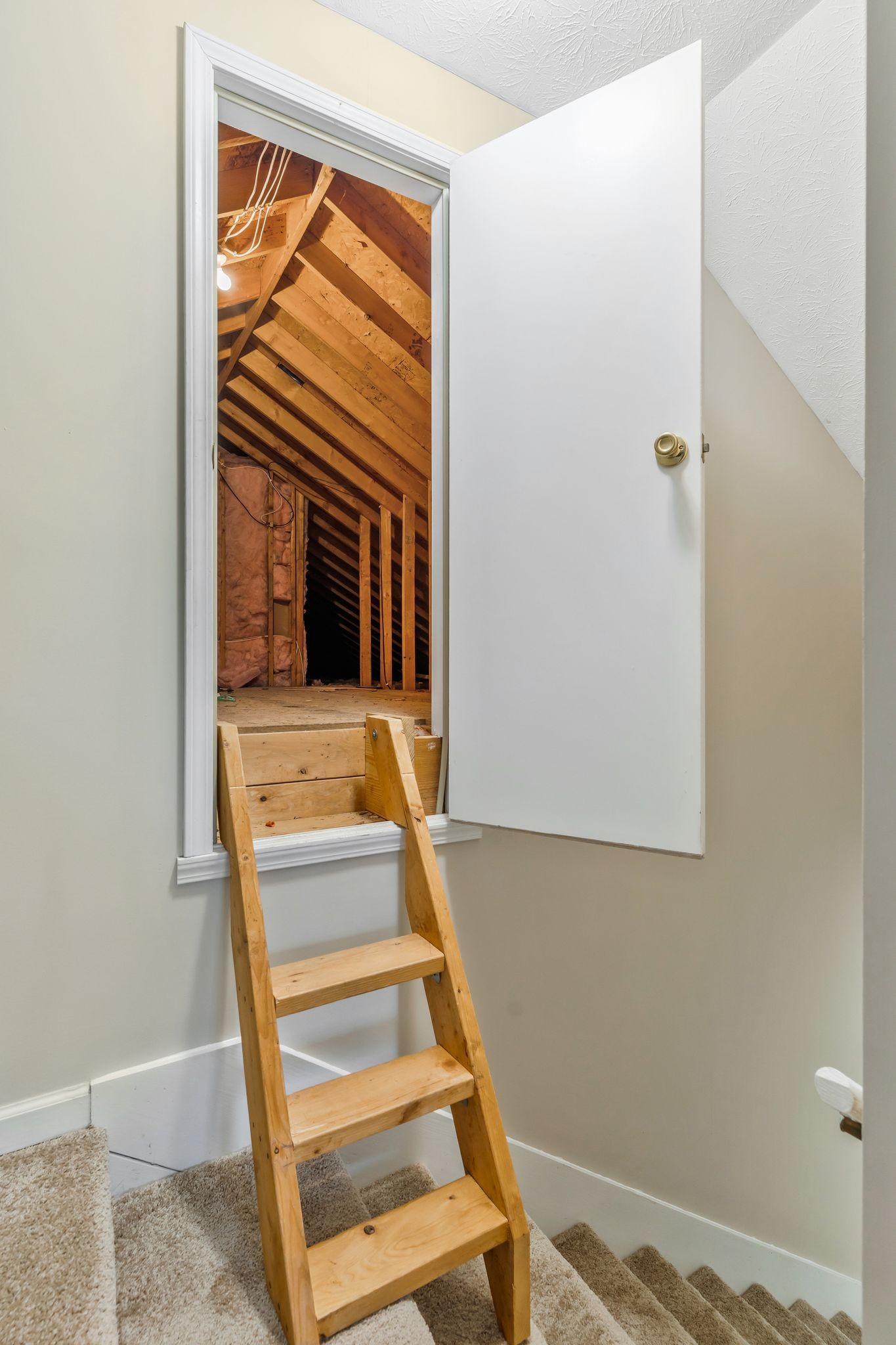 3729 Calista Road Cross Plains, TN 37049 - Photo 26 of 46 Gallery Image 26