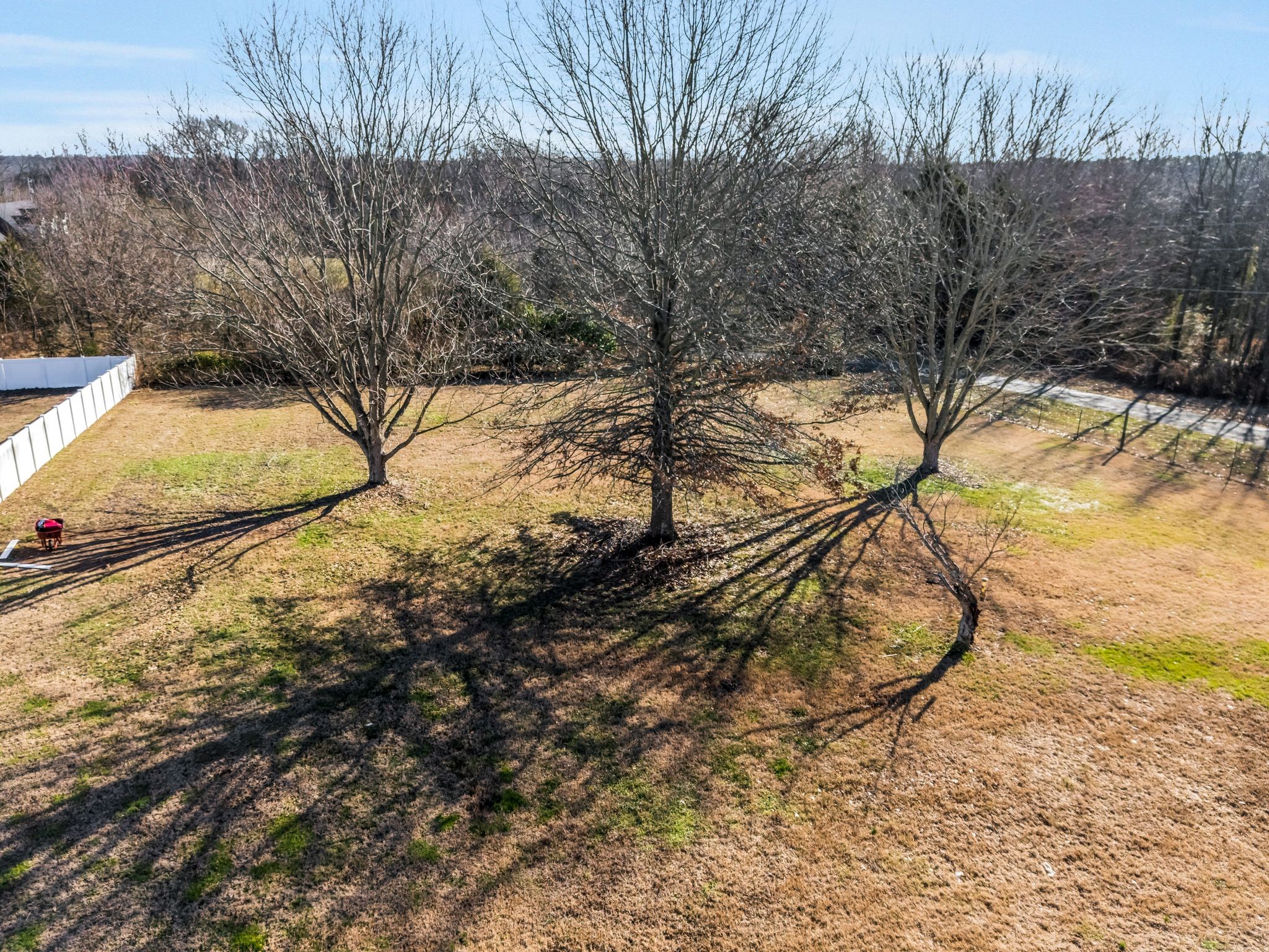 3729 Calista Road Cross Plains, TN 37049 - Photo 32 of 46 Gallery Image 32