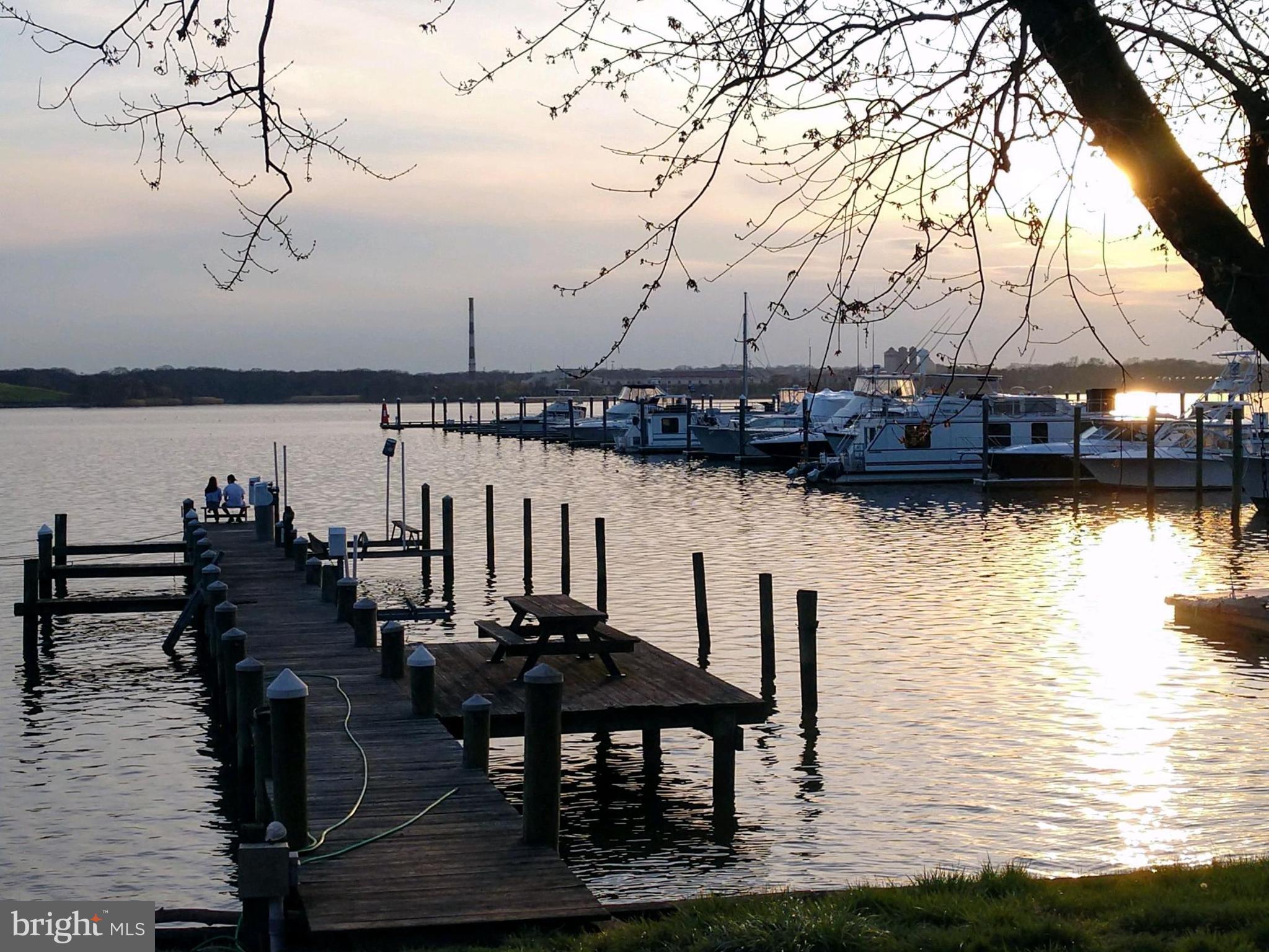 800 Riverside Drive Essex, MD 21221 - Photo 1 of 13 150 foot pier with 8000LBS boat lift