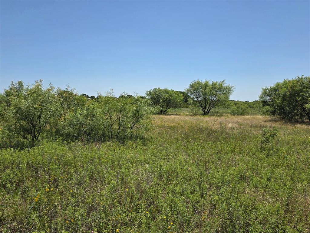 1000 County Road 375 Rising Star, TX 76471 - Photo 23 of 40