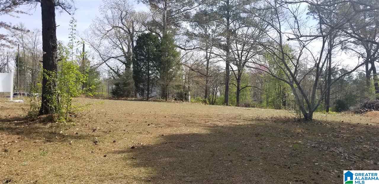 1113 Patton Chapel Road, Unit 3A Birmingham, AL 35226 - Photo 5 of 6