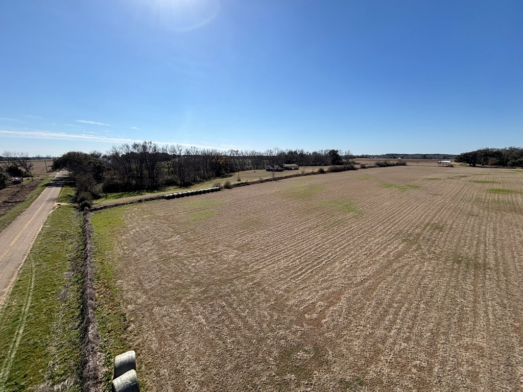 0 Cedar Springs Road Ashford, AL 36312 - Photo 4 of 7