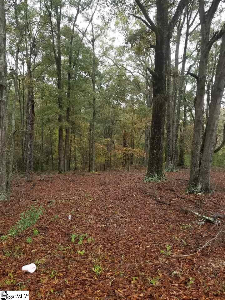 0 Putman Street Fountain Inn, SC 29644 - Photo 3 of 5 Gallery Image 3
