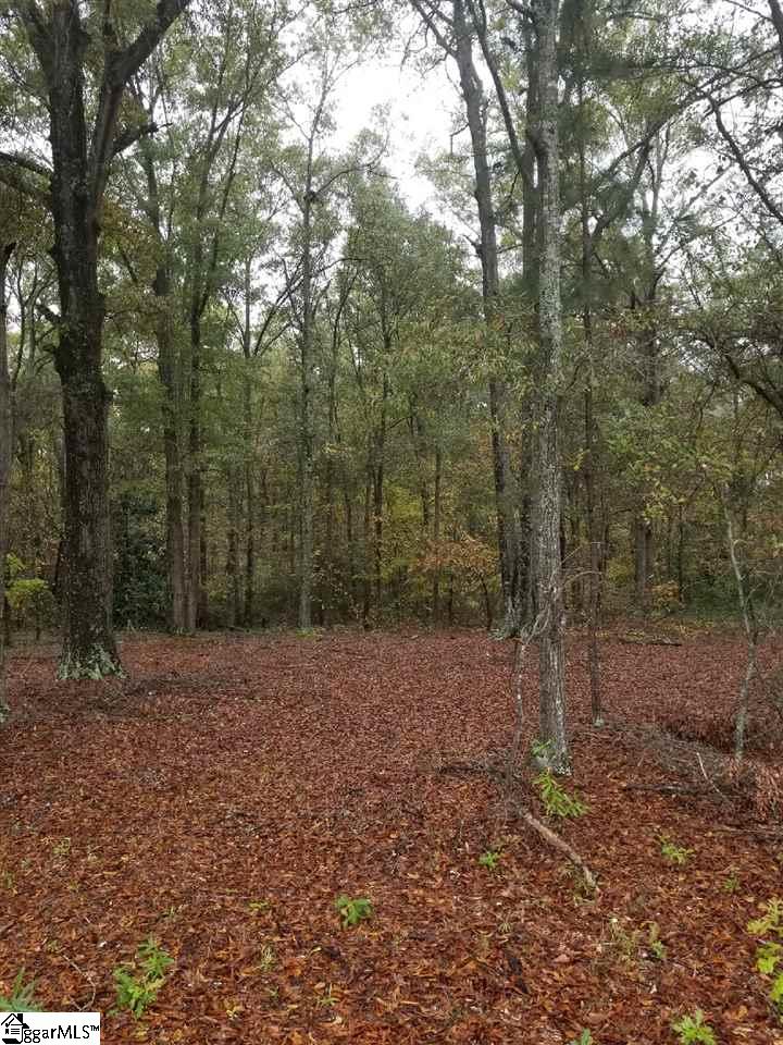 0 Putman Street Fountain Inn, SC 29644 - Photo 4 of 5 Gallery Image 4