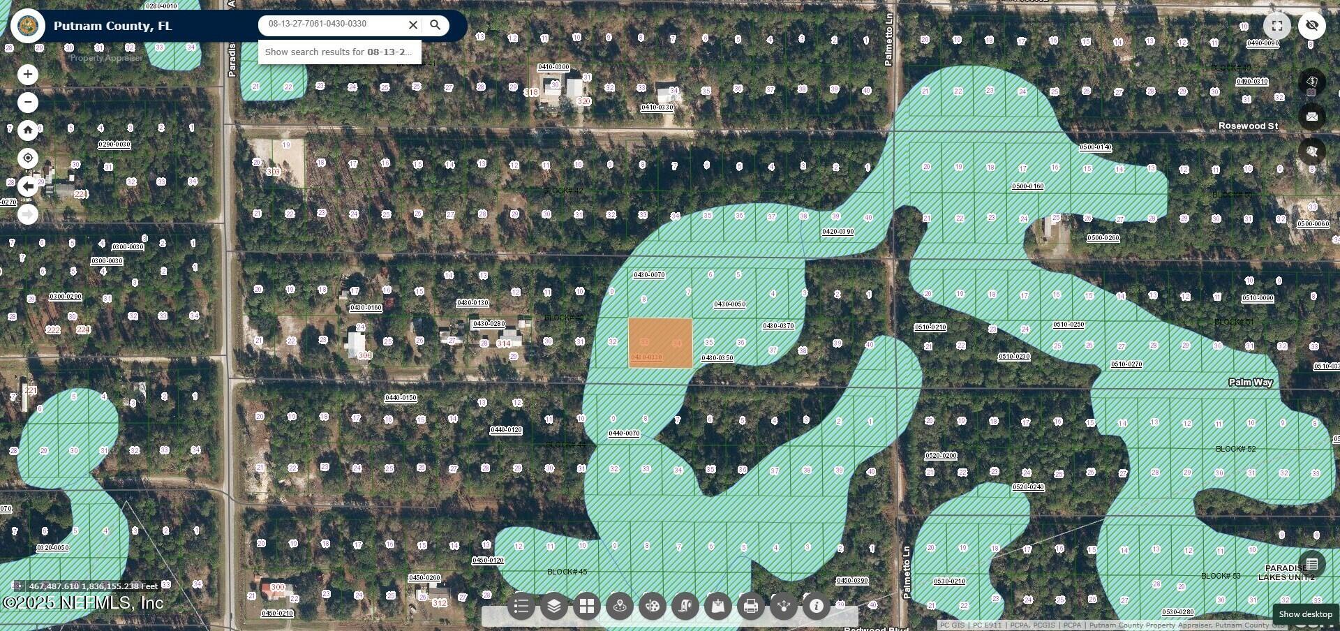 324 Palm Way Georgetown, FL 32139 - Photo 12 of 32 324 Palm Way (Wetlands)