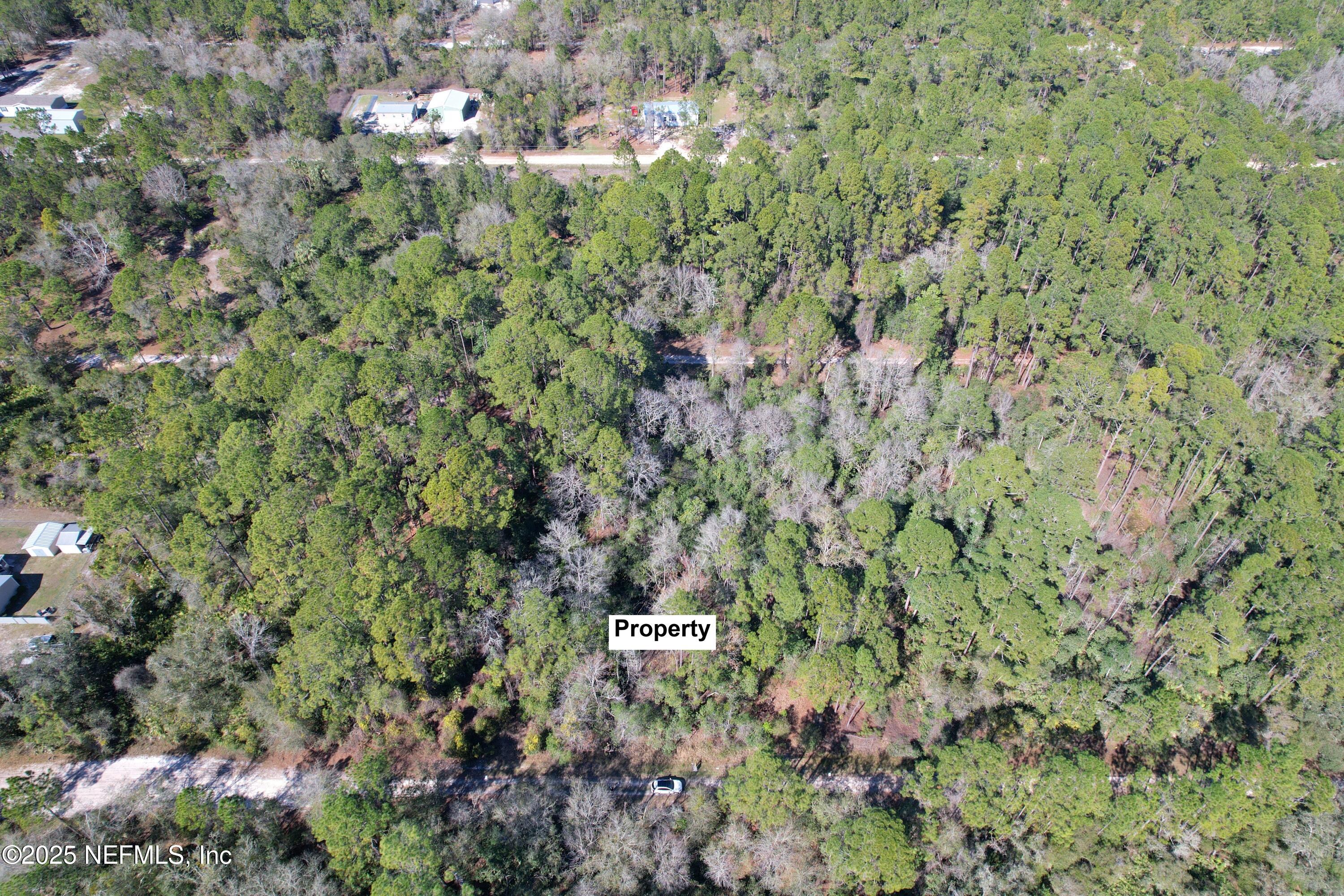 324 Palm Way Georgetown, FL 32139 - Photo 3 of 32 3