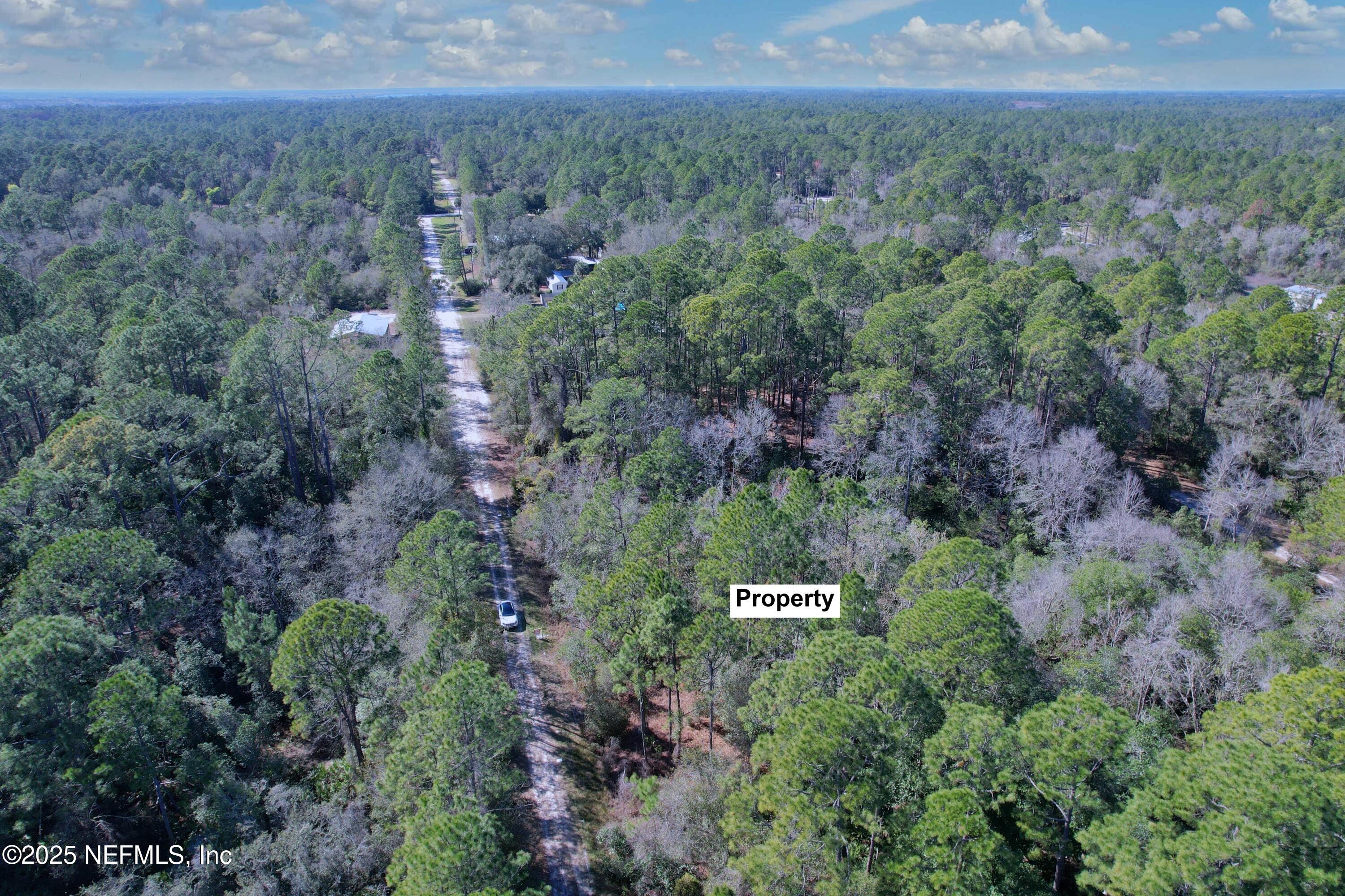 324 Palm Way Georgetown, FL 32139 - Photo 4 of 32 4