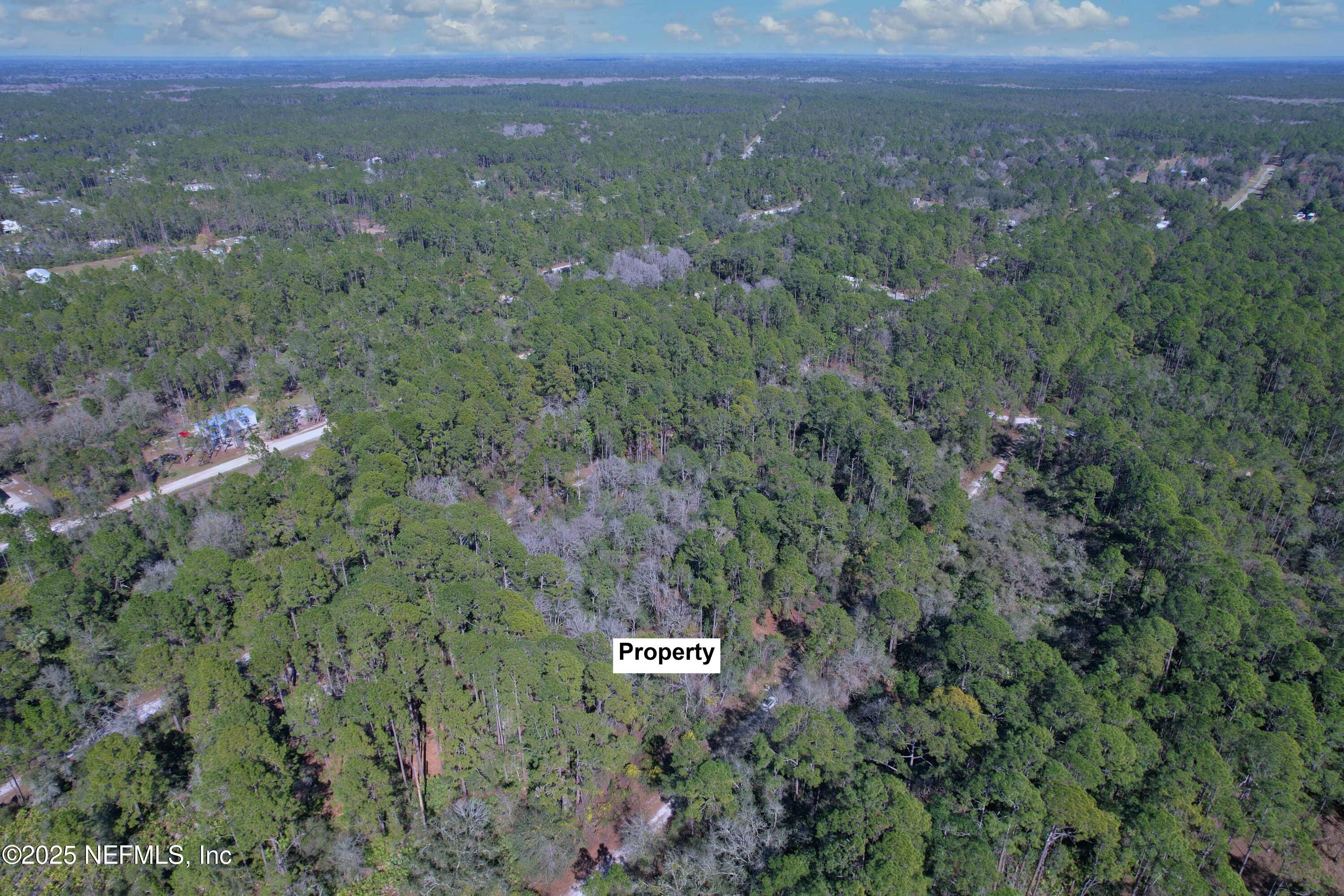 324 Palm Way Georgetown, FL 32139 - Photo 5 of 32 5