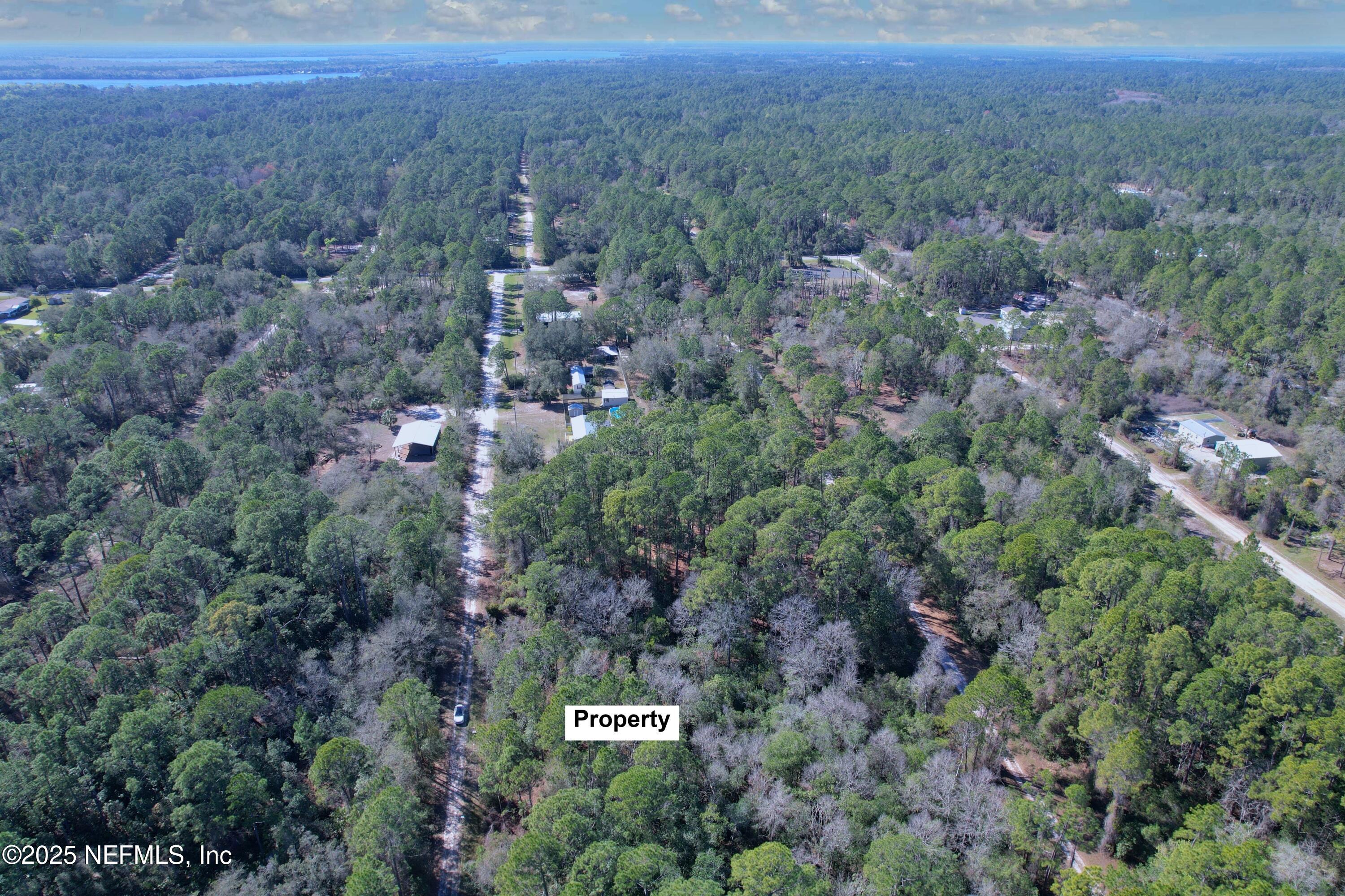 324 Palm Way Georgetown, FL 32139 - Photo 6 of 32 6