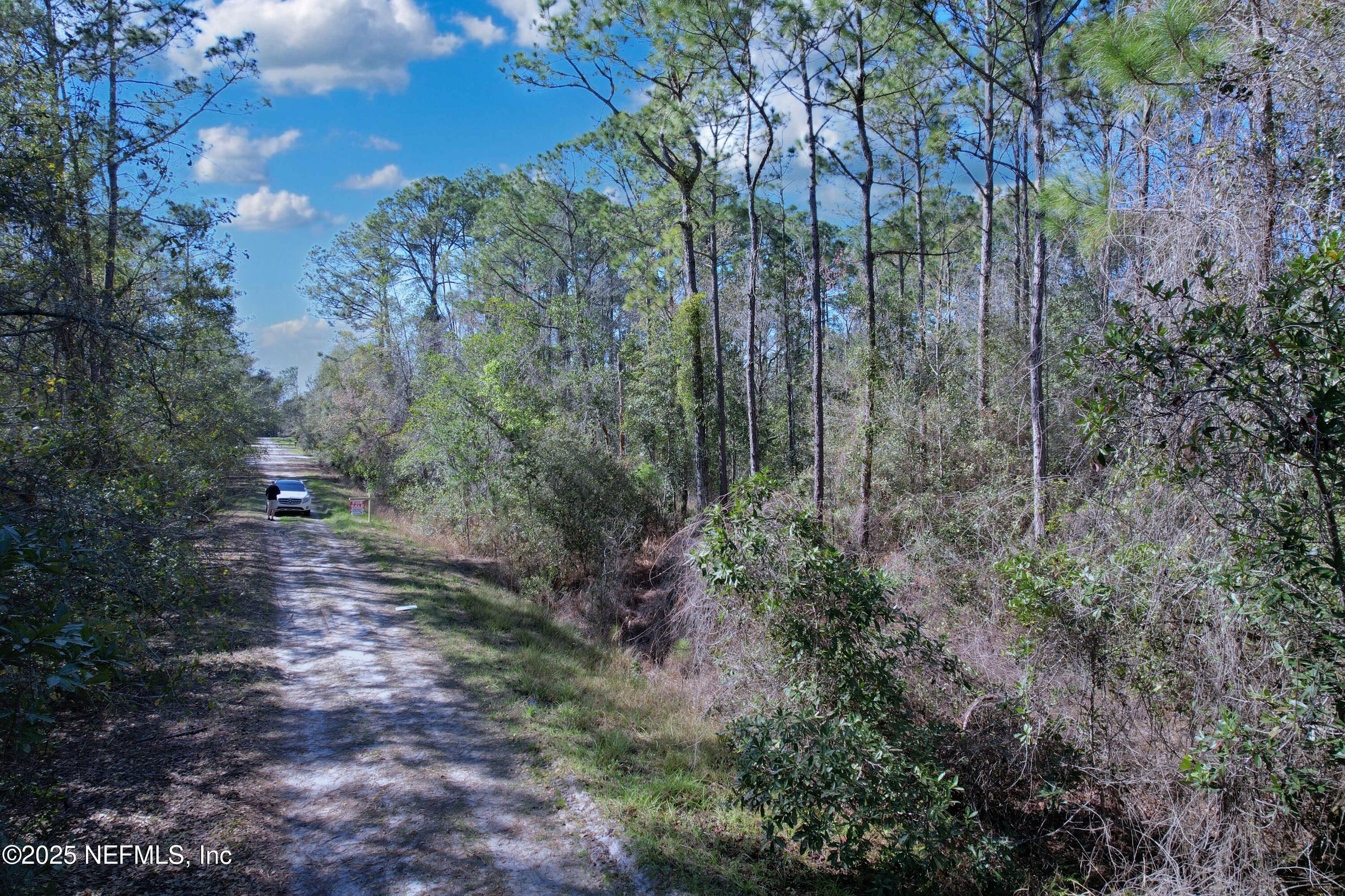 324 Palm Way Georgetown, FL 32139 - Photo 7 of 32 7