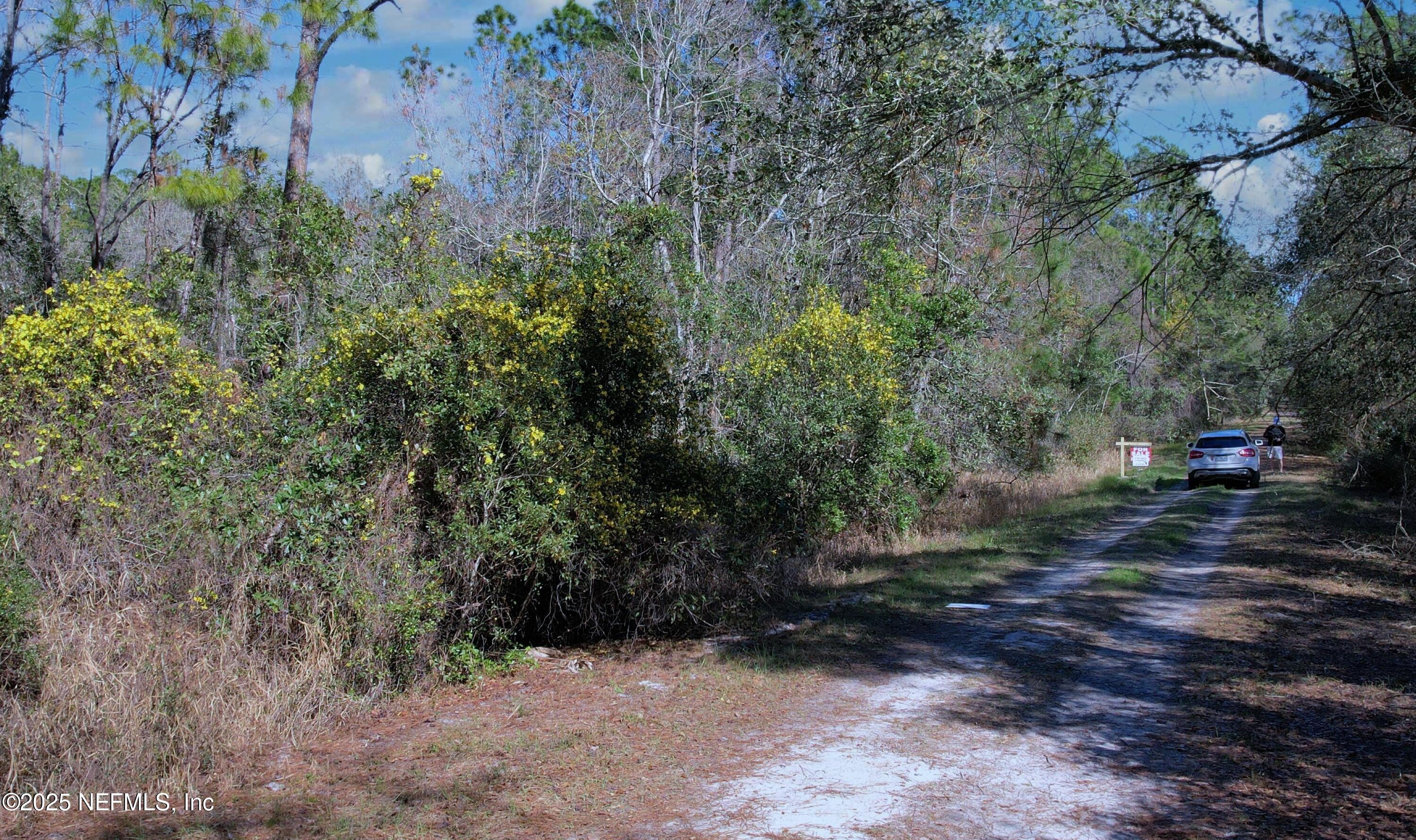 324 Palm Way Georgetown, FL 32139 - Photo 8 of 32 8