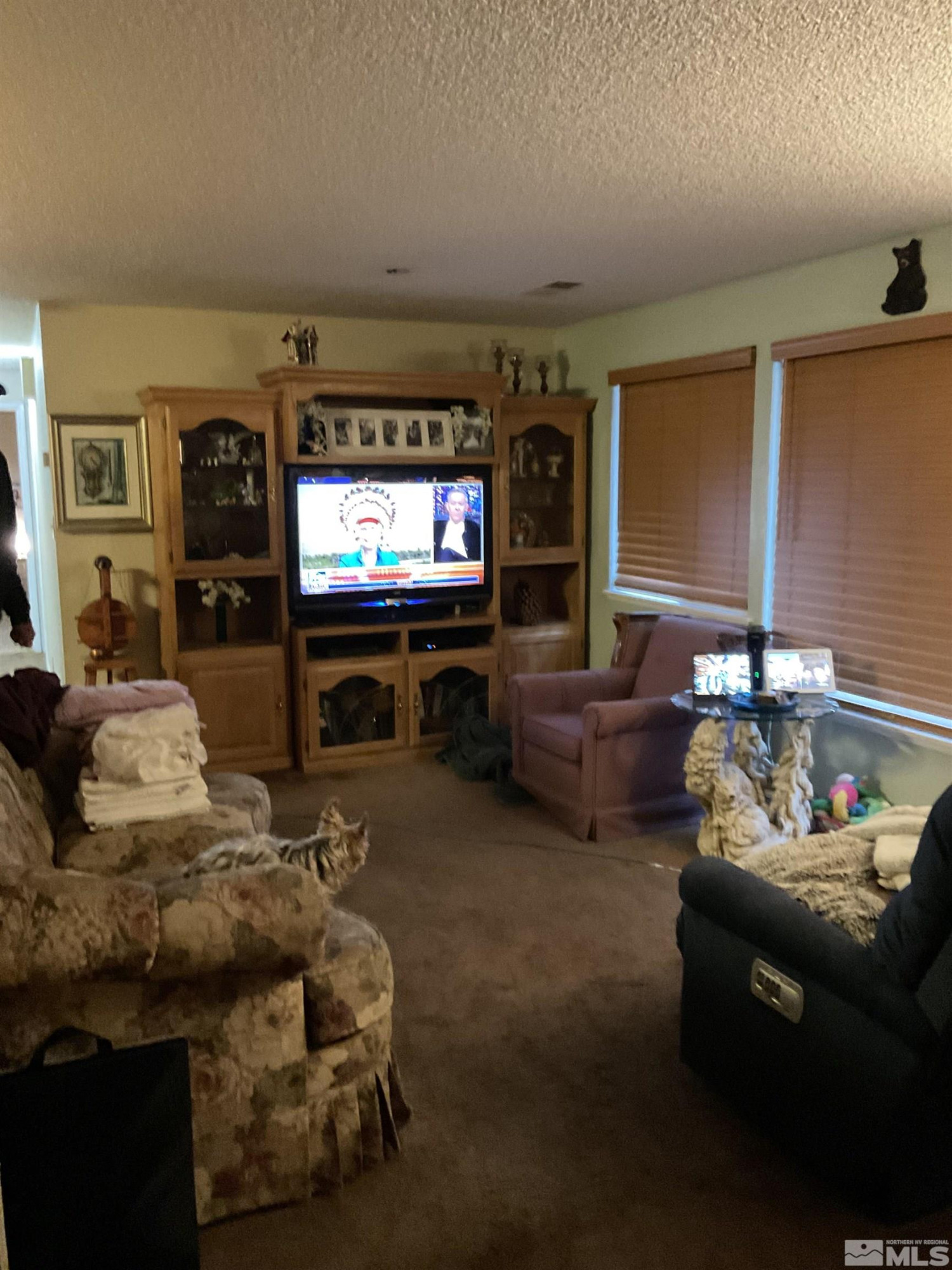 3645 Peregrine Circle Reno, NV 89508 - Photo 3 of 36 Photo 3