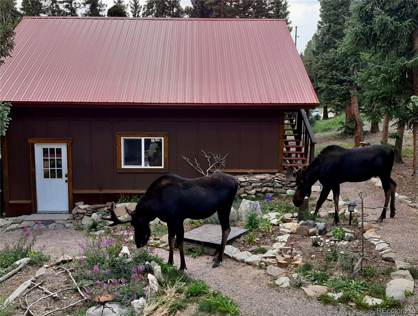3608 County Road Fairplay, CO 80440 - Photo 24 of 25 Gallery Image 24