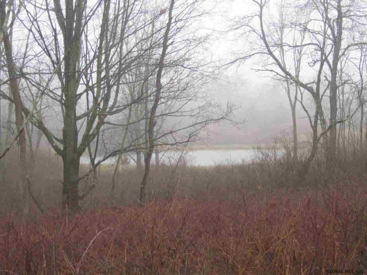 216 Williams Road Fort Edward, NY 12828 - Photo 10 of 12 Photo 10