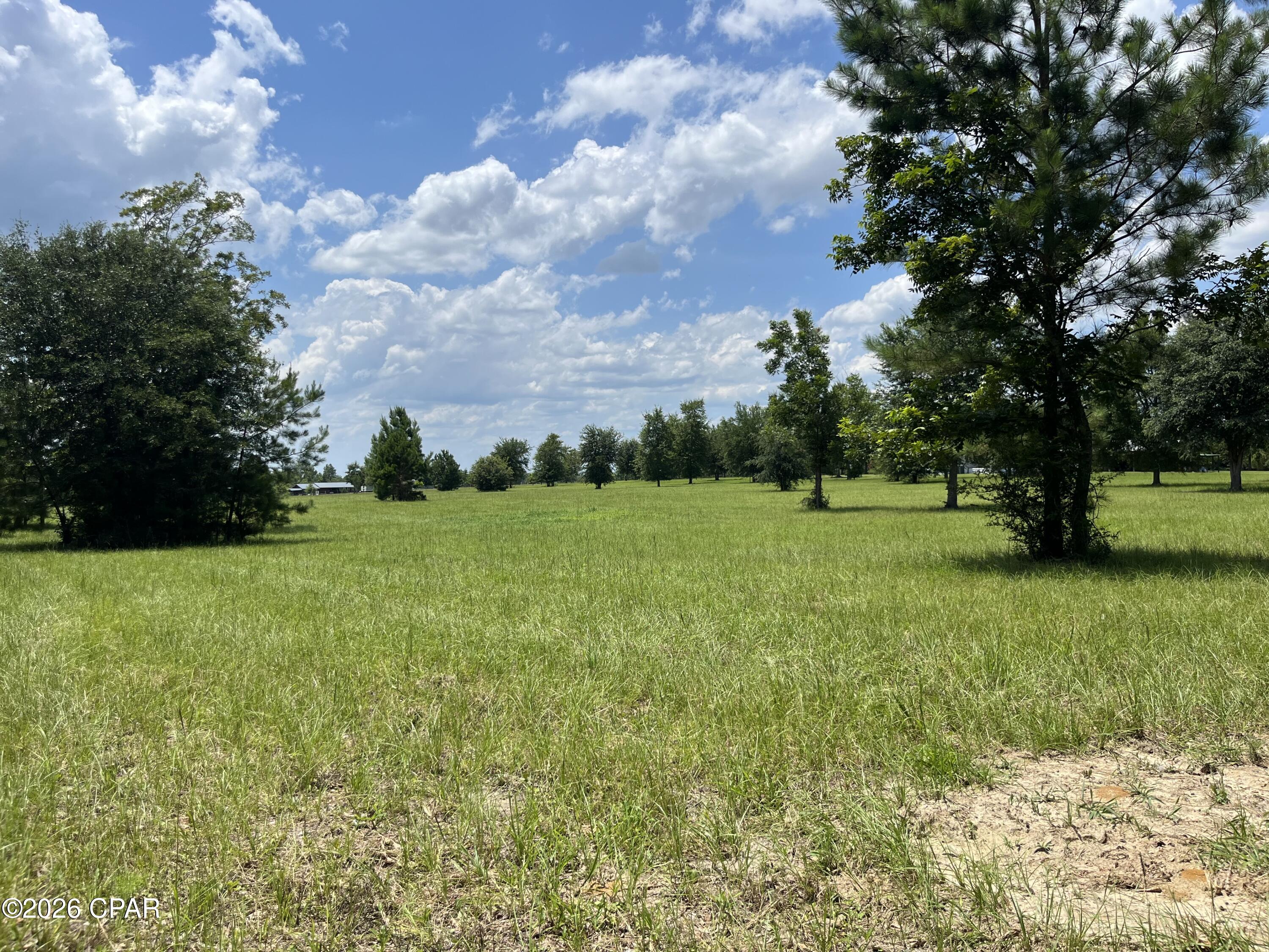0 Gotcha Road Marianna, FL 32448 - Photo 1 of 19