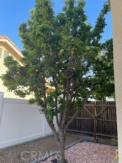 19284 Krameria Avenue Riverside, CA 92508 - Photo 18 of 26 a backyard of a house with lots of green space