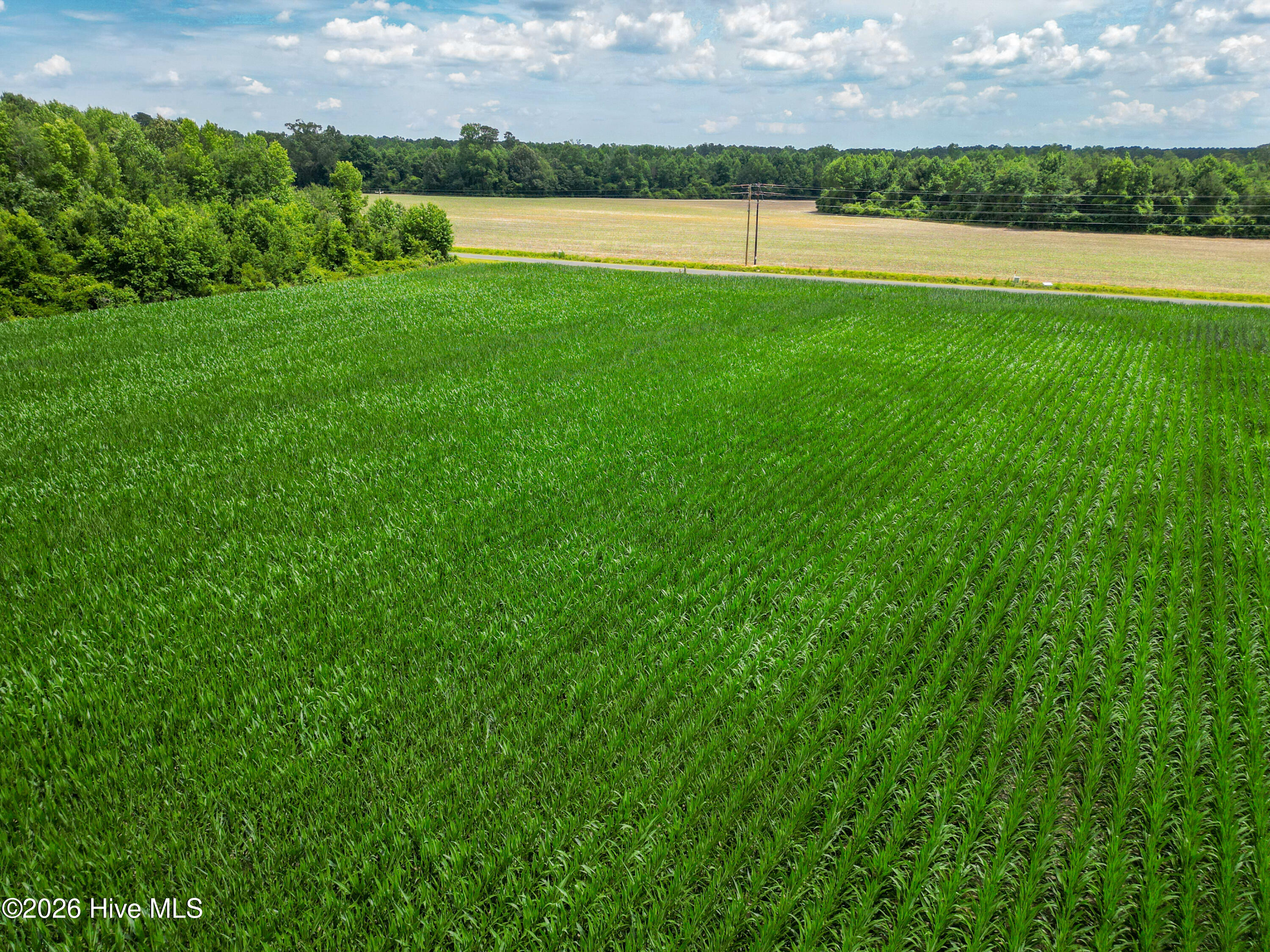 Tbd Farmers Union Road Clarkton, NC 28433 - Photo 10 of 13
