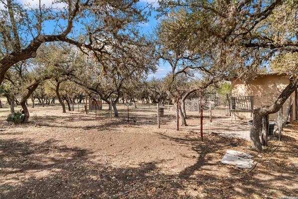 a view of empty space with trees