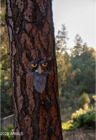 $735,000 | 9651 Wild Turkey Lane, Strawberry, AZ 85544