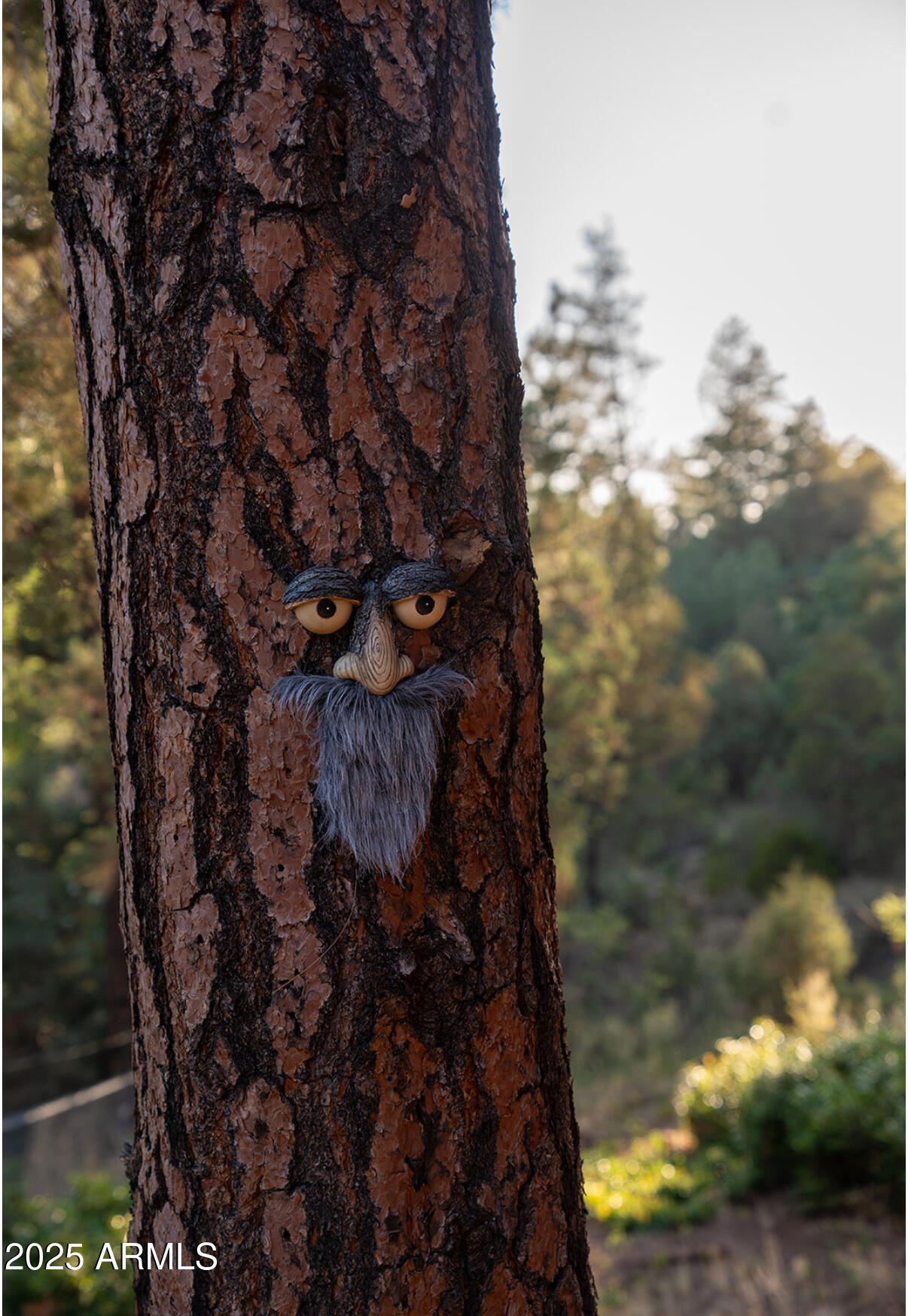 9651 Wild Turkey Lane Strawberry, AZ 85544 - Photo 41 of 41