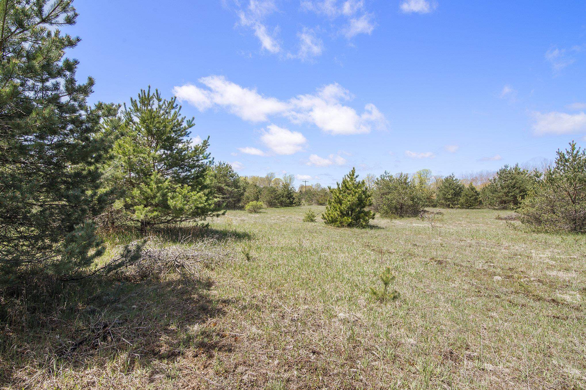 2 North 9th Road Mesick, MI 49668 - Photo 4 of 9