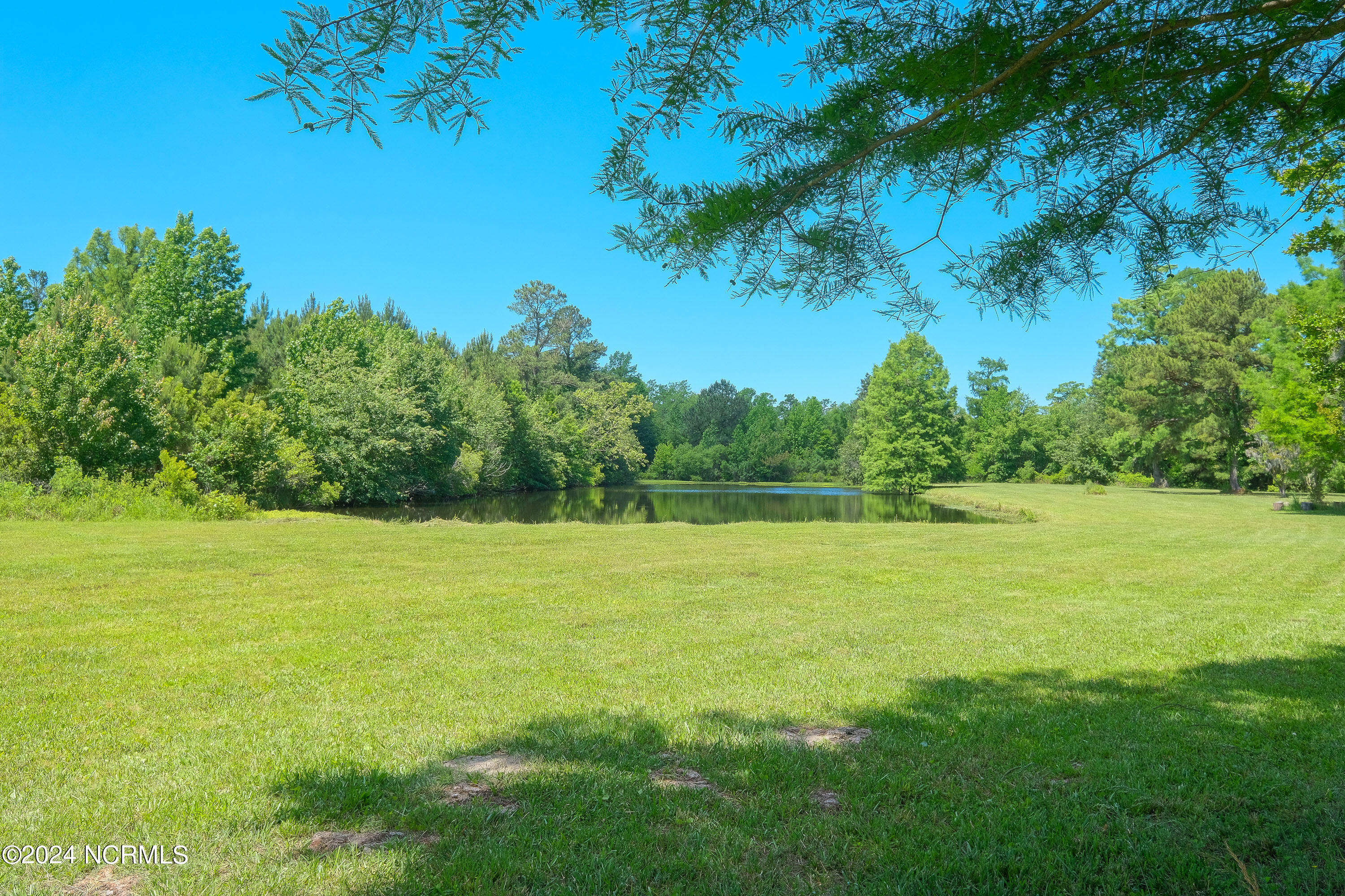 251 Cowpen Neck Road Edenton, NC 27932 - Photo 12 of 61 12_240521-DSCF7235