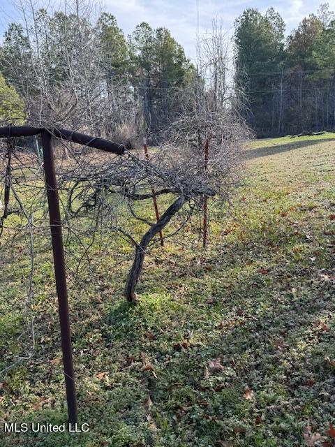 9995 Midway Road Raymond, MS 39154 - Photo 33 of 36 IMG_6179