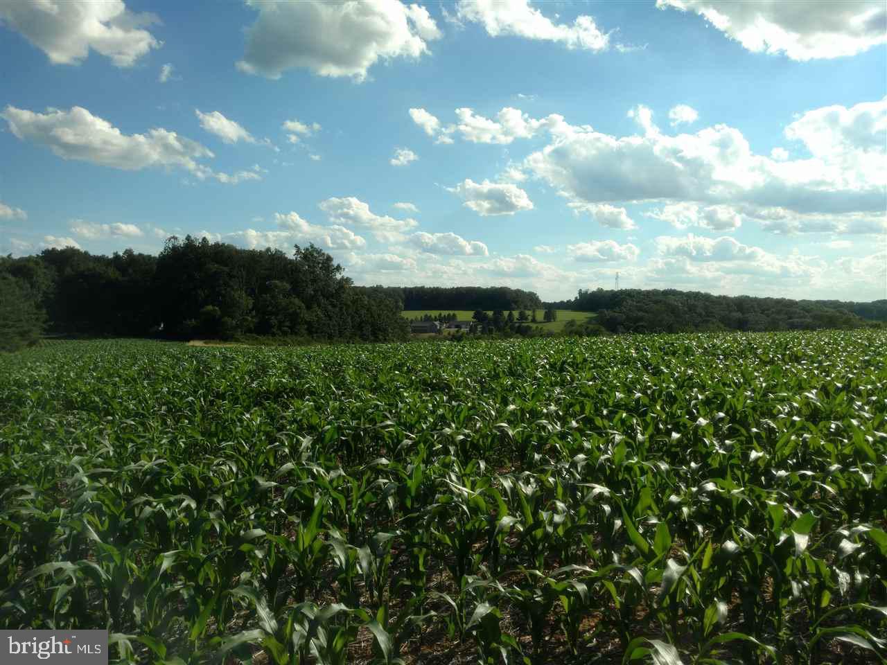 Lot Bridgeview Bridgeview Road Stewartstown, PA 17363 - Photo 2 of 10 Gallery Image 2